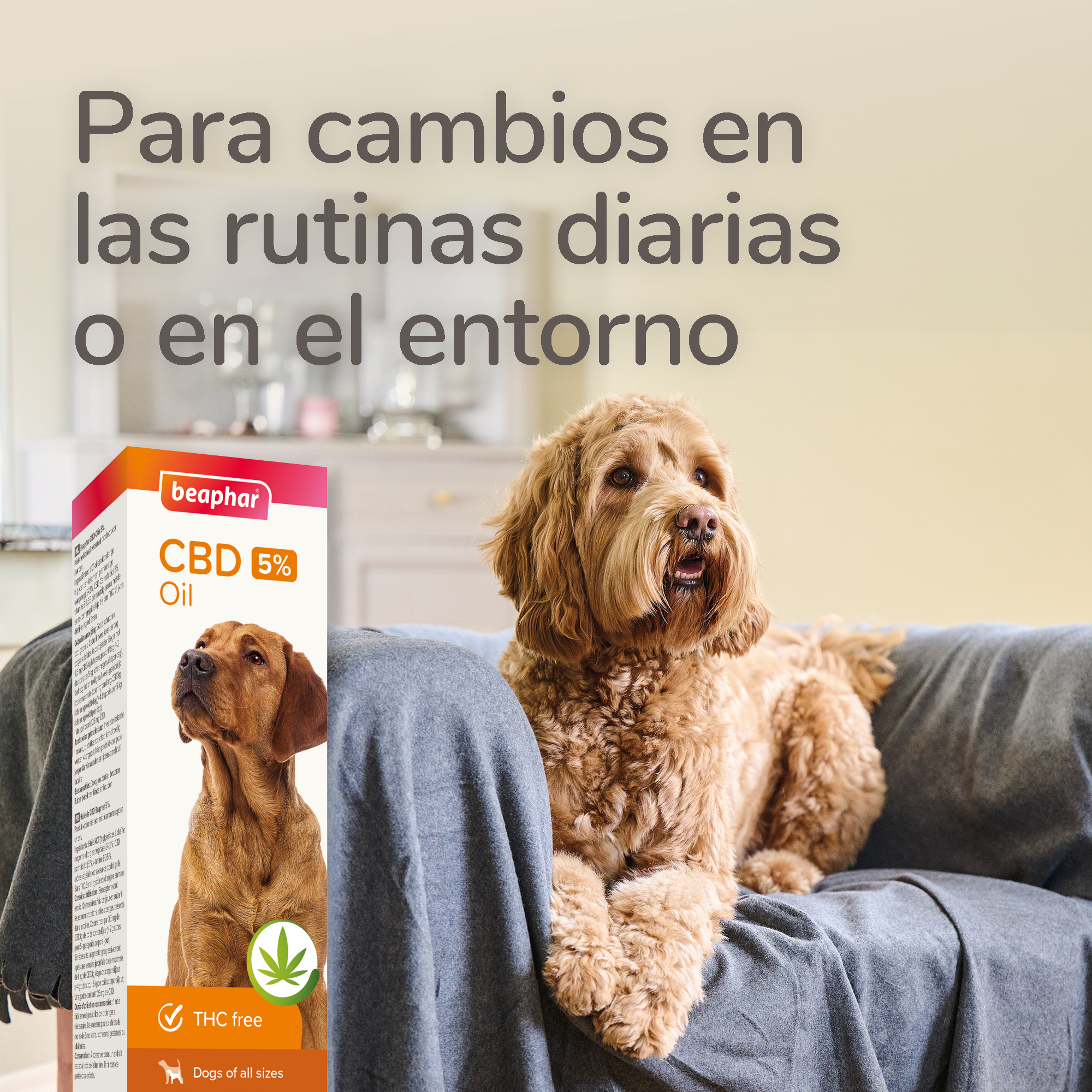 Beaphar Aceite de CBD 5% para Perros - 10 ml