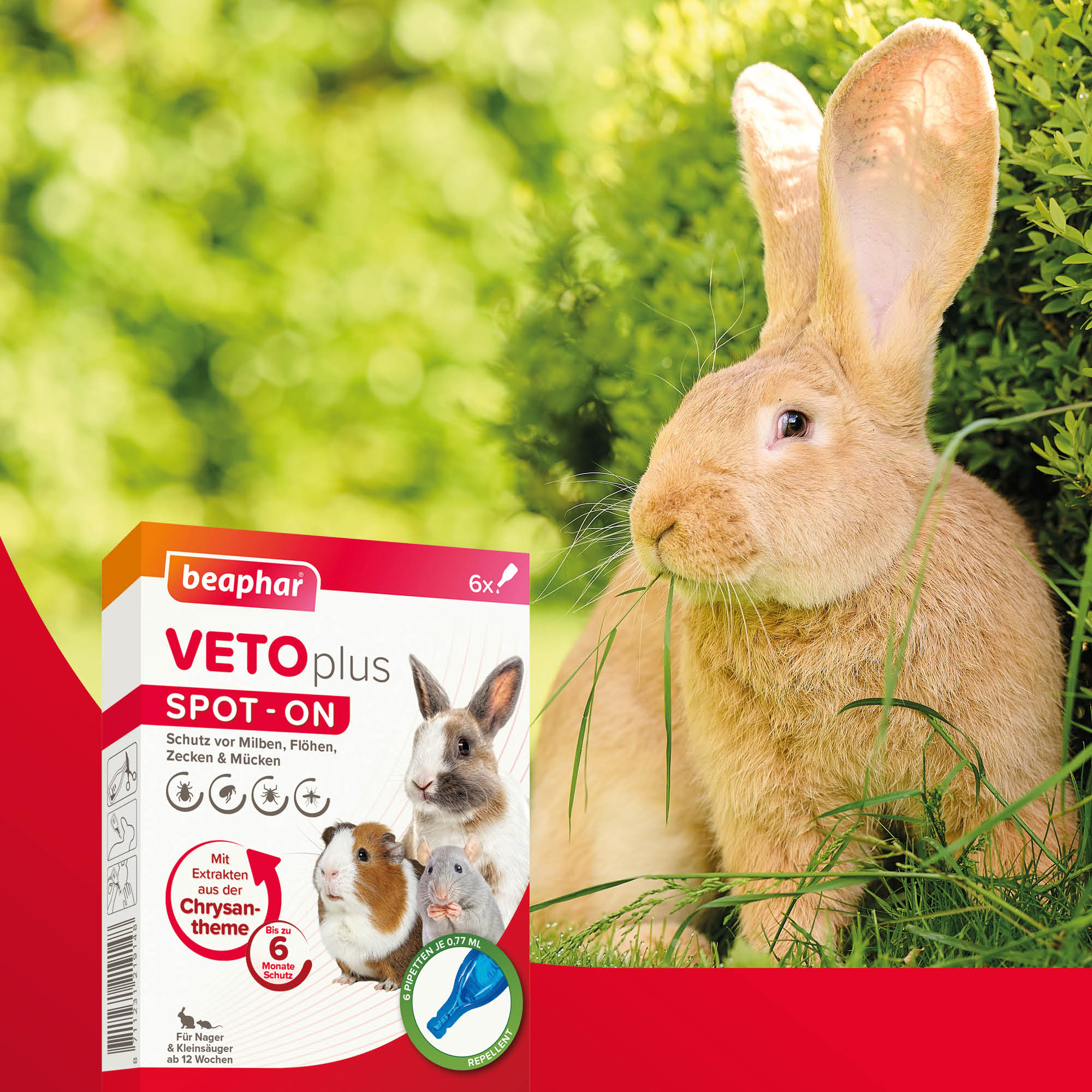 VETOplus Spot-On für Nager & Kleinsäuger, 6x0,77ml