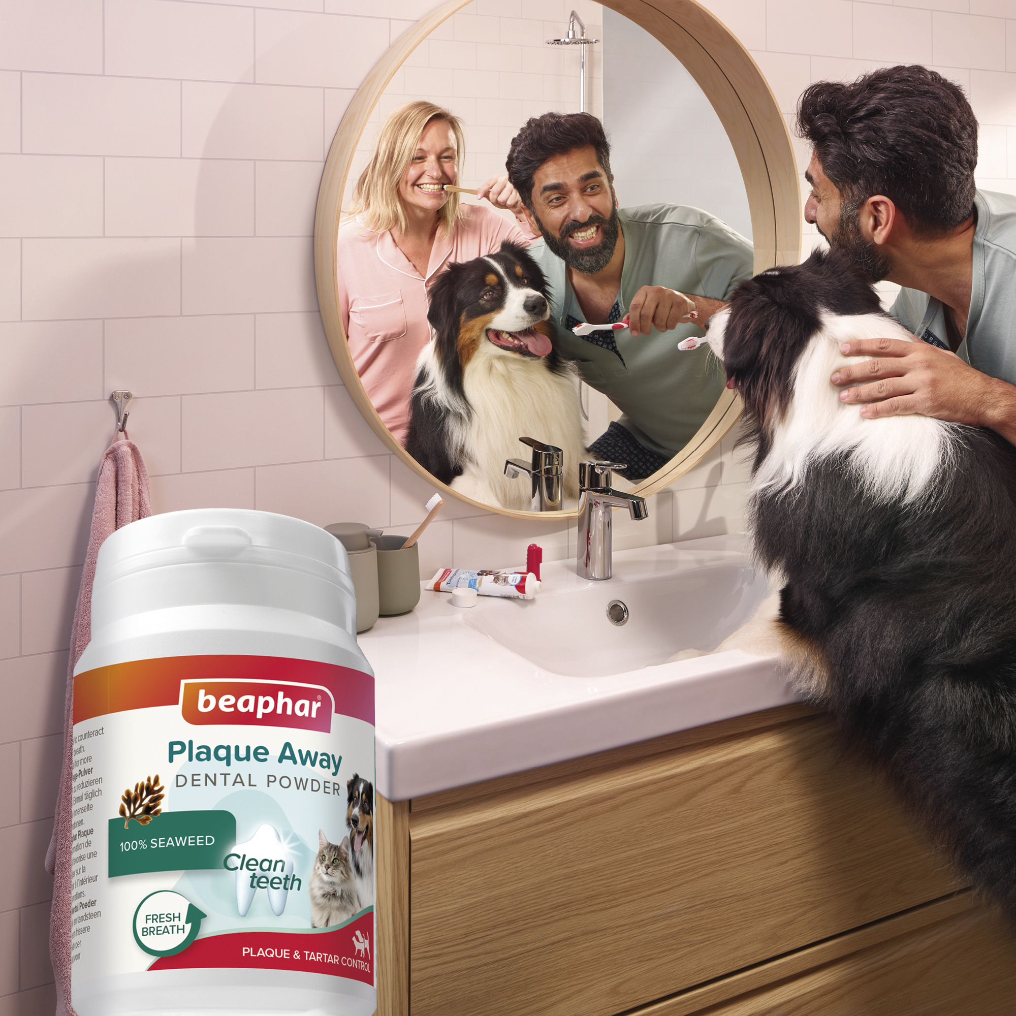 Beaphar Plaque Away Dental Powder for Cats & Dogs, 80g Tub