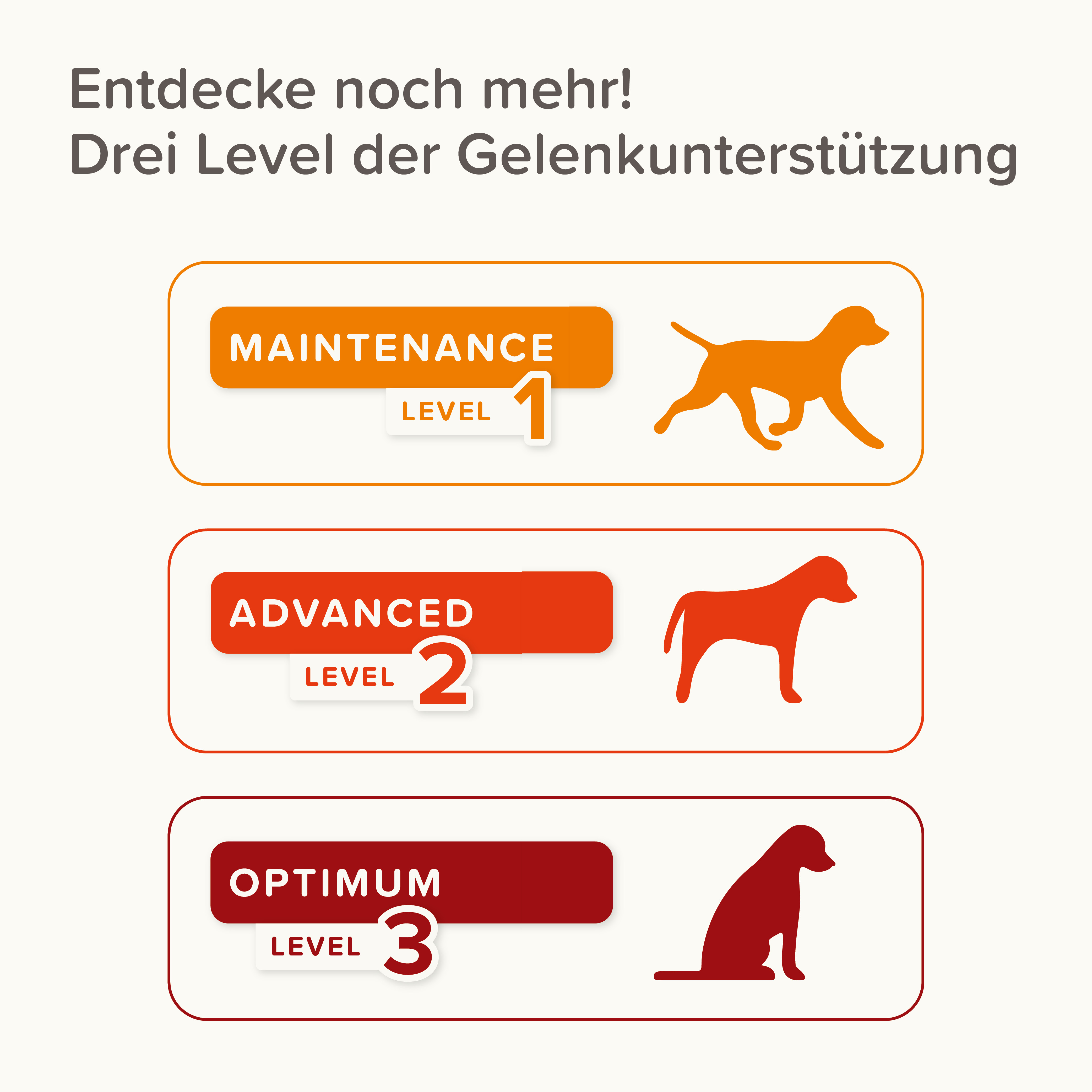 Beaphar Flexifit® Paste, 250g