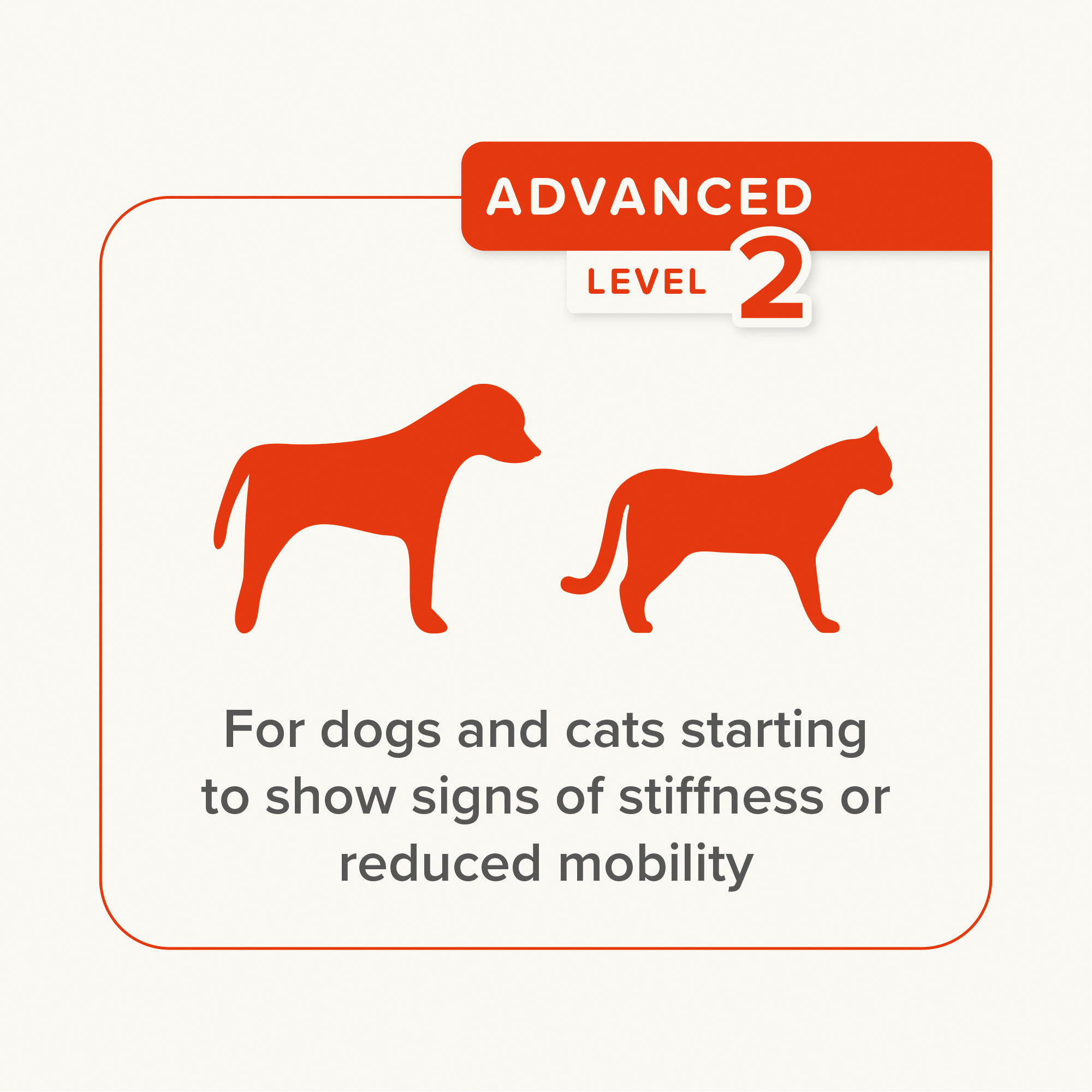 Beaphar Flexifit® Cat & Dog Paste