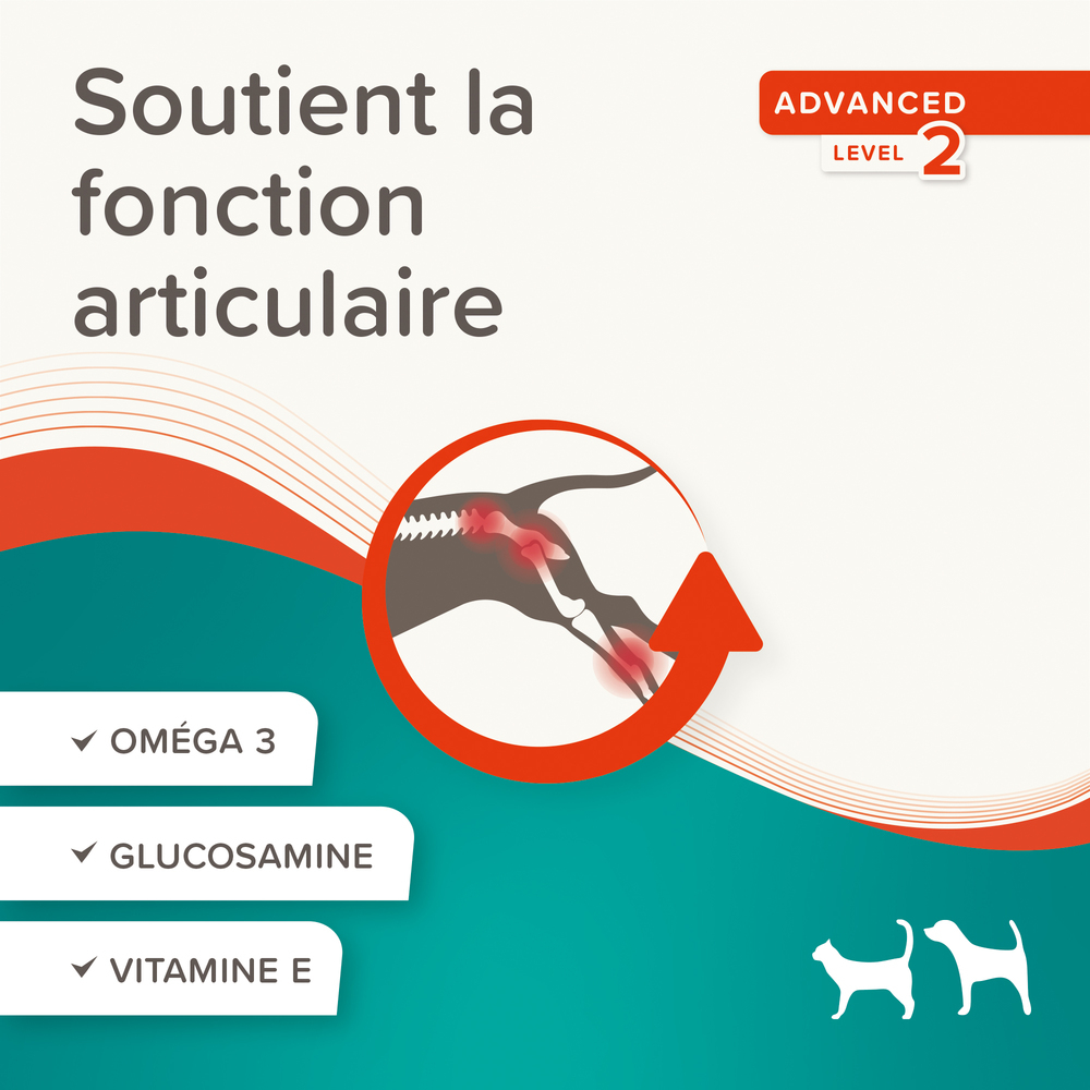 Flexifit®, Pâte articulations pour chien et chat - 250g