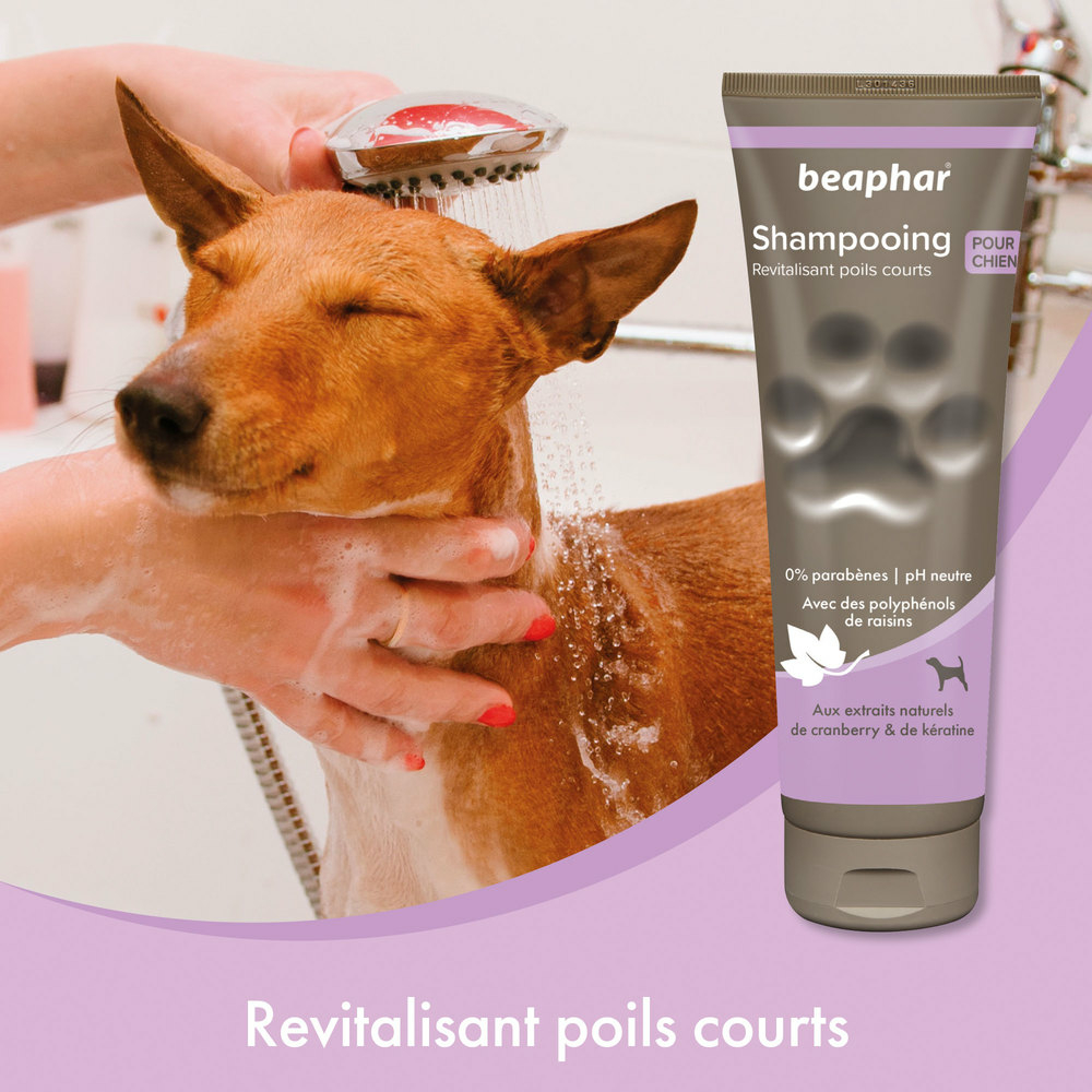 Shampooing premium Empreinte - Revitalisant poils courts extraits naturels de cranberry & de kératine - 250 ml