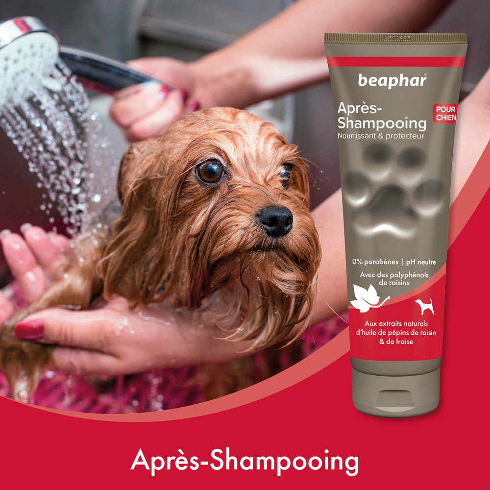 Après-Shampooing premium Empreinte - Extraits naturels d’huile de pépins de raisin & de fraise - 250 ml