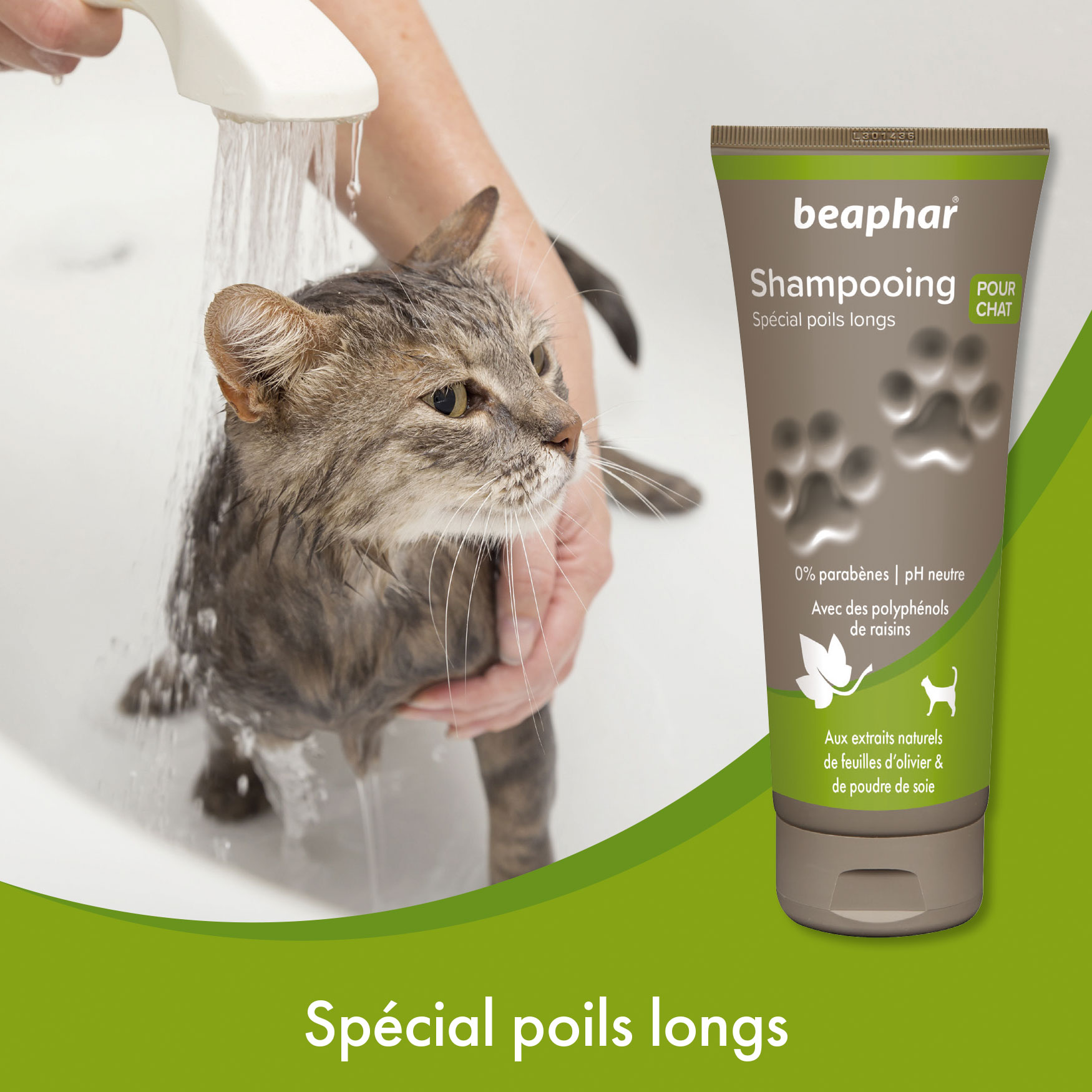 SHAMPOING ESSENTIEL 250ML - CHAT BEAPHAR (ANGLAIS) main image 1