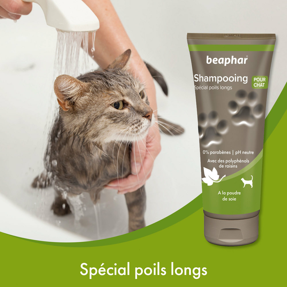 Shampooing premium Empreinte - Chat poils longs à la poudre de soie - 200 ml