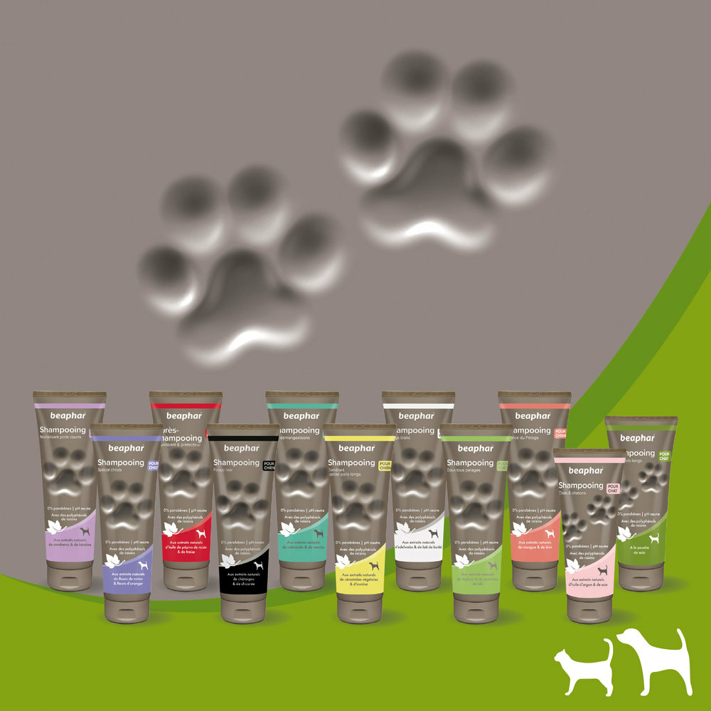 Shampooing premium Empreinte - Chat poils longs à la poudre de soie - 200 ml