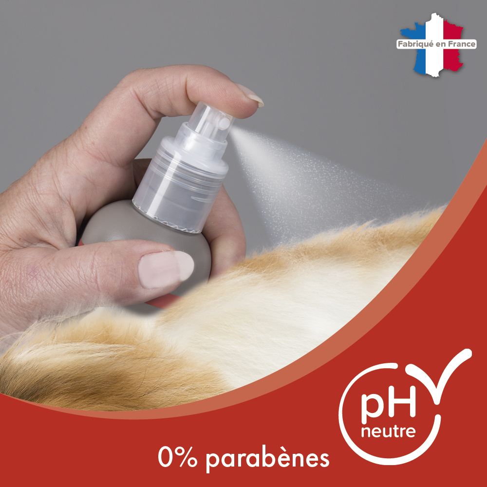 Shampooing Sec premium Empreinte - Aux extraits naturels de bambou & à l'eau de rose - 200 ml