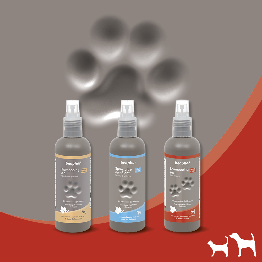 Shampooing Sec premium Empreinte - Aux extraits naturels de bambou & à l'eau de rose - 200 ml