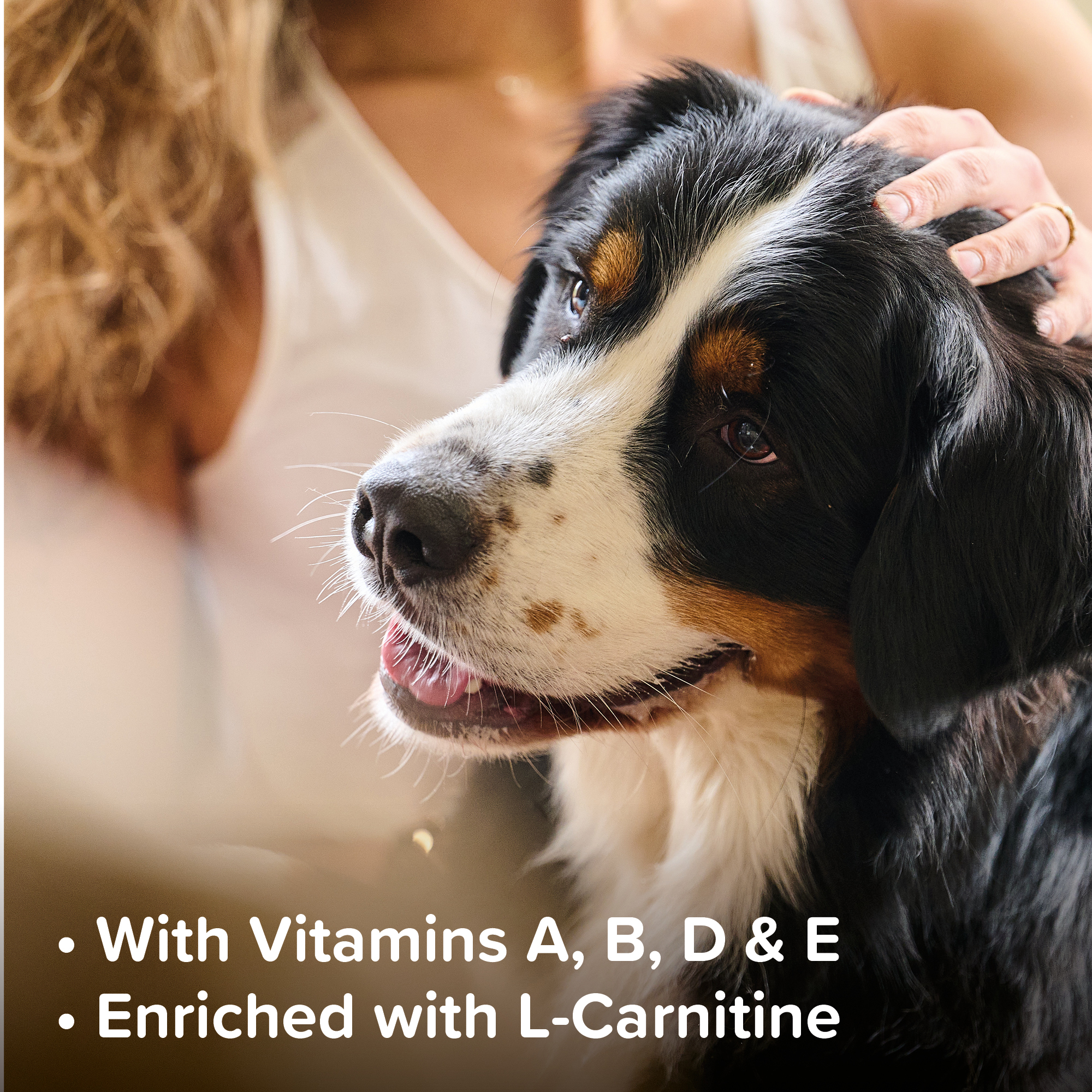 Beaphar Top 10 Multi-Vitamin Tablets for Dogs 180 Tablet Pack