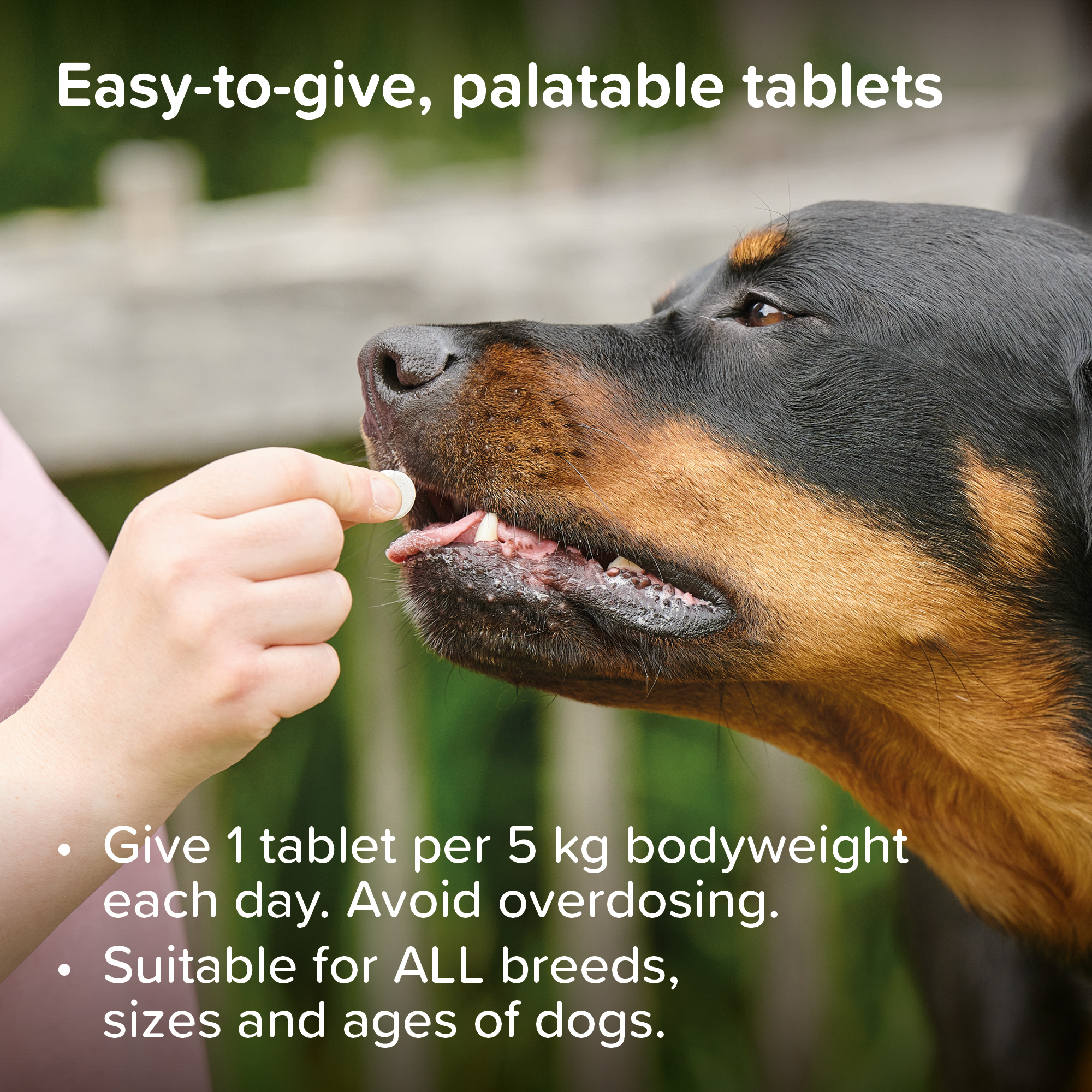 Beaphar Top 10 Multi-Vitamin Tablets for Dogs 180 Tablet Pack