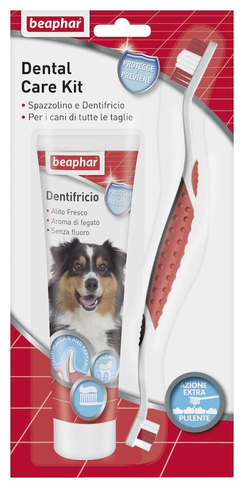 Dental Care Kit Cane/Gatto
