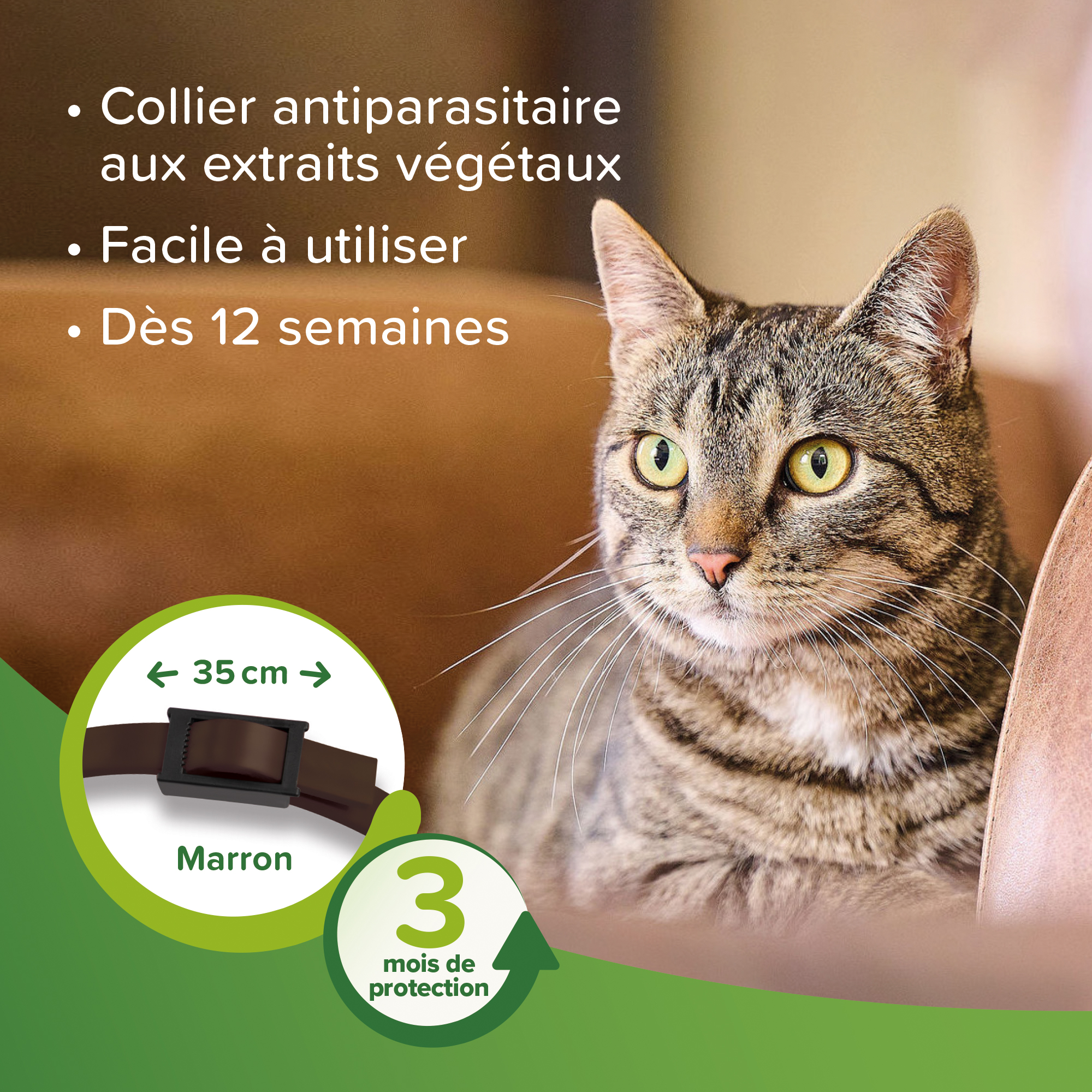 VETOpure, collier répulsif antiparasitaire pour chat