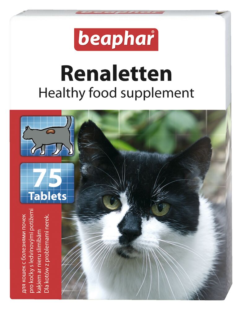 Doplněk stravy na ledvinové problémy Renaletten