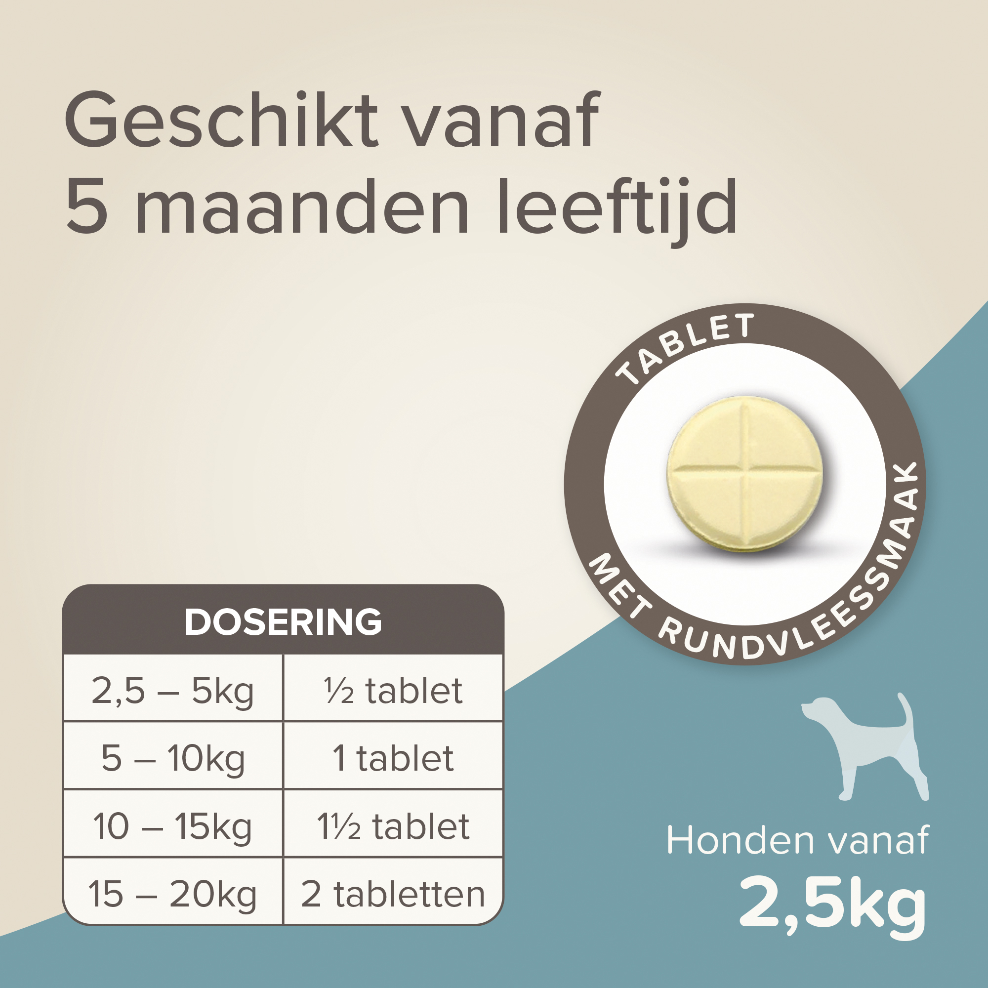Beaphar Wormtabletten All-in-One hond 2,5-20kg 2 tabletten