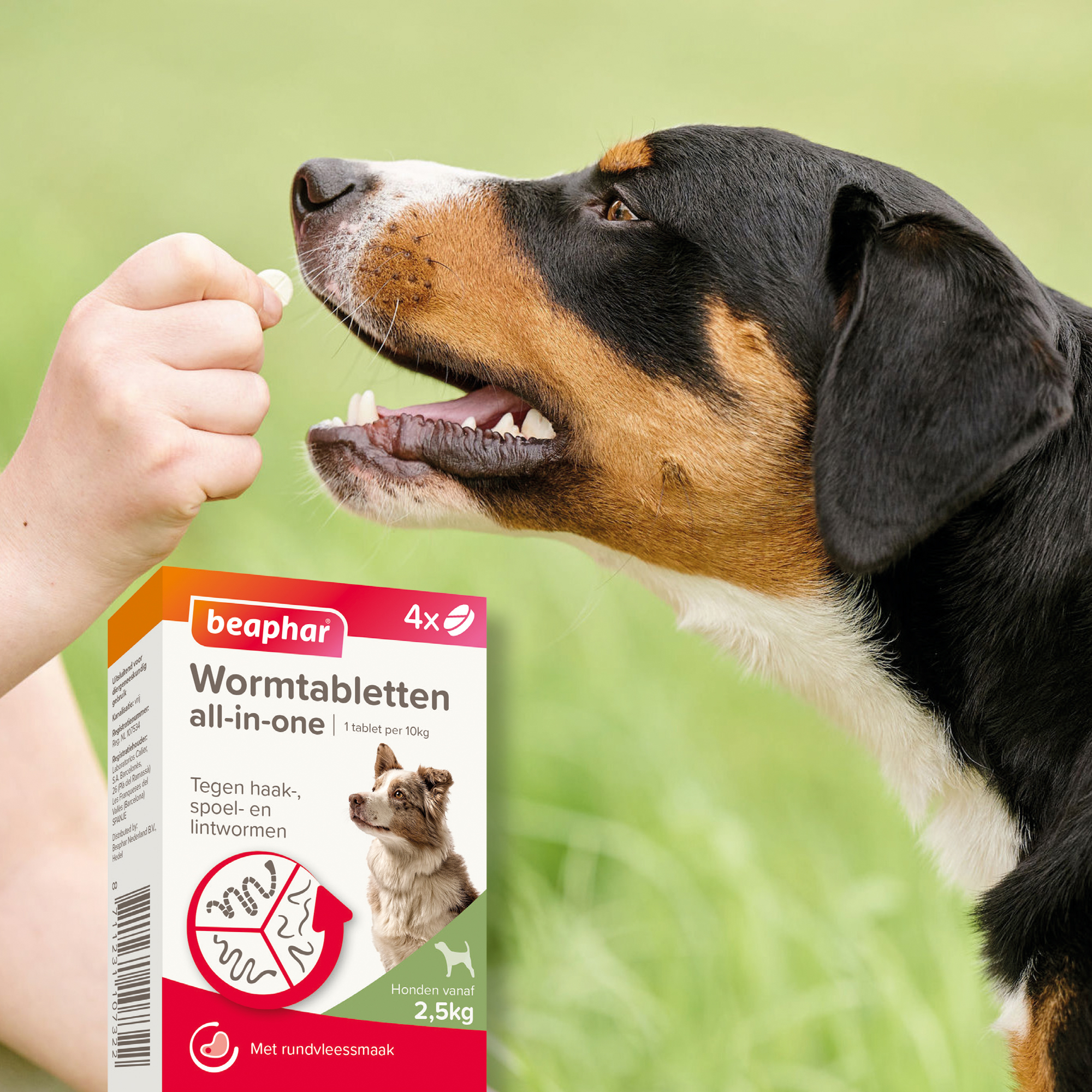 Beaphar Wormtabletten All-in-One hond 2,5-40kg 4 tabletten