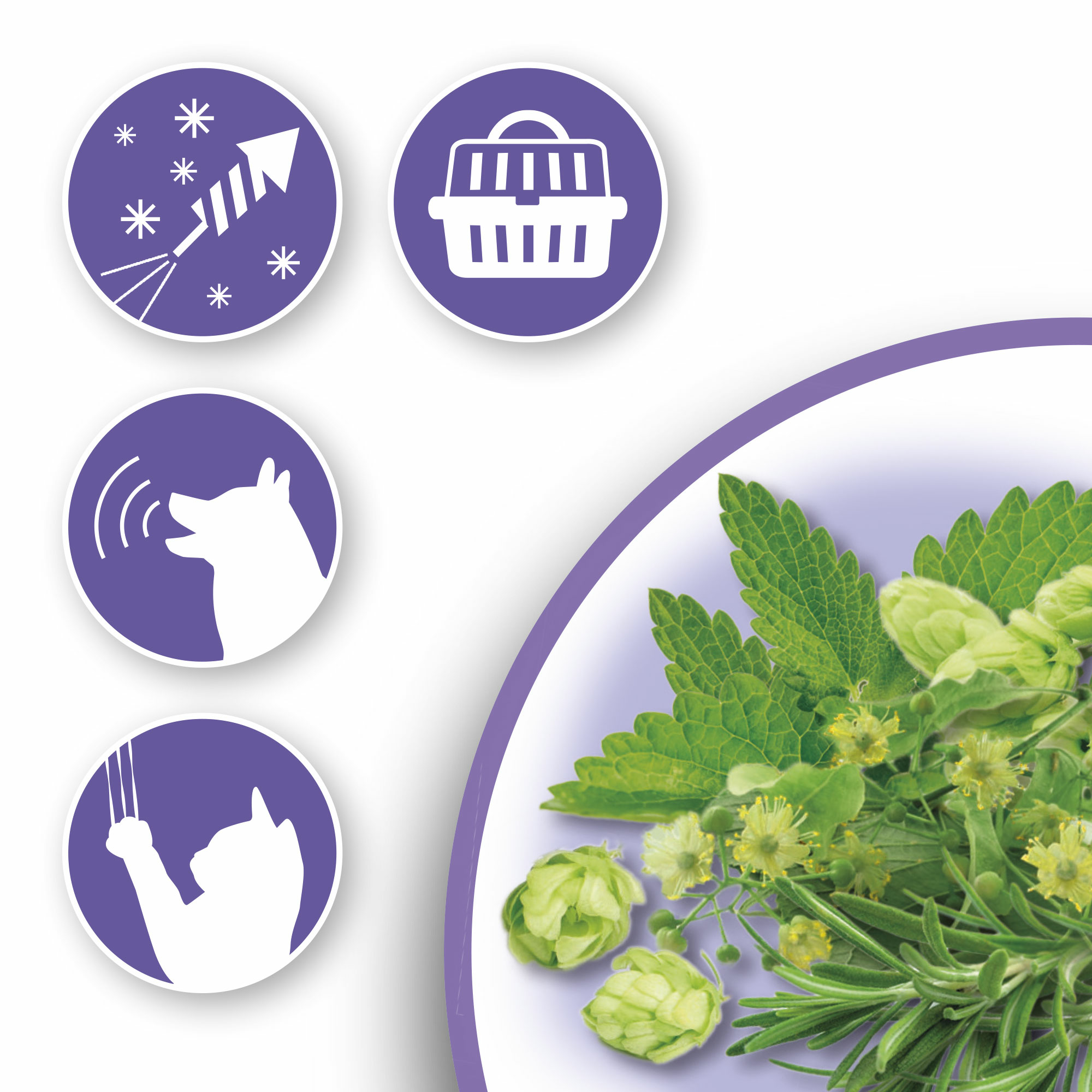 Beaphar No Stress Tabletten hond/kat 20 tabletten