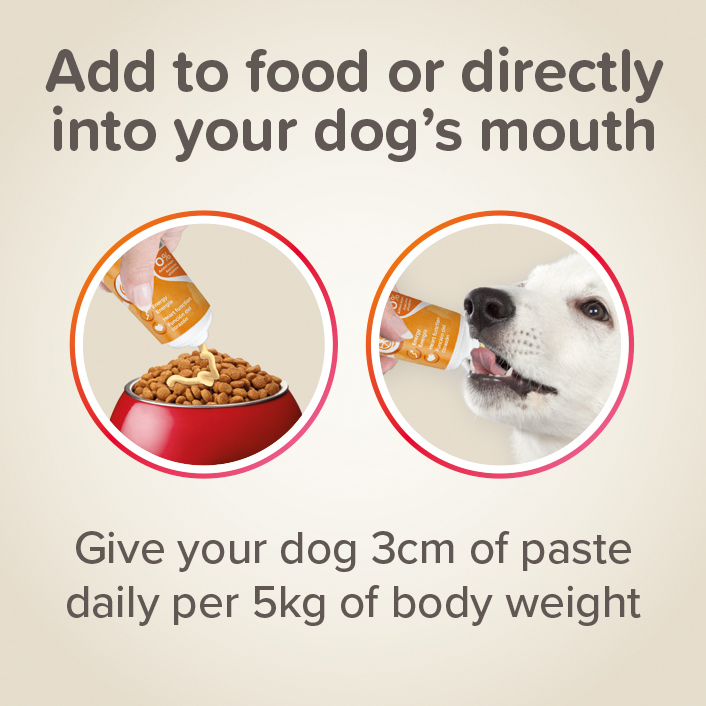Beaphar Multi-Vitamin Paste for Dogs