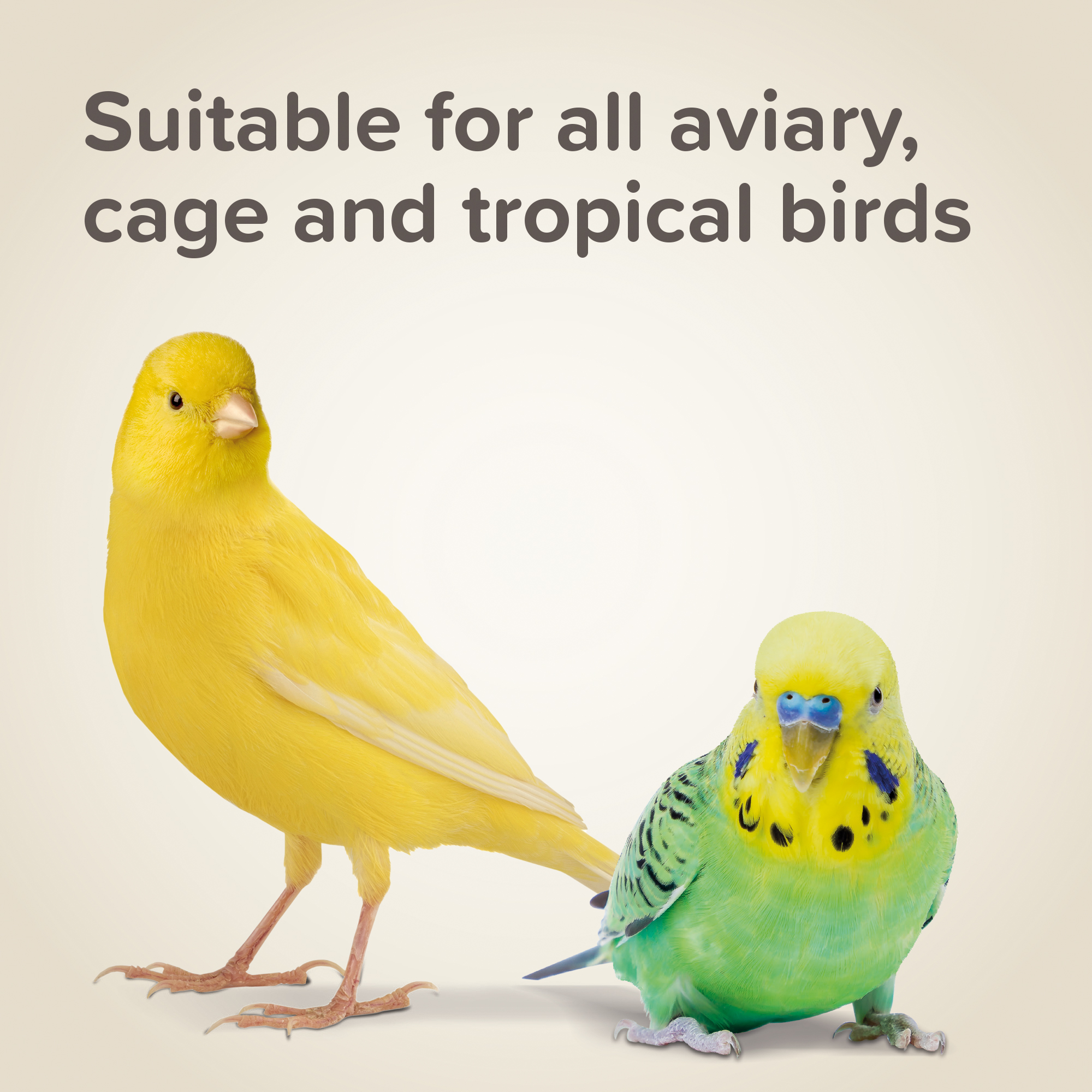 Beaphar Cana Grit Shell, Charcoal & Gravel for Birds