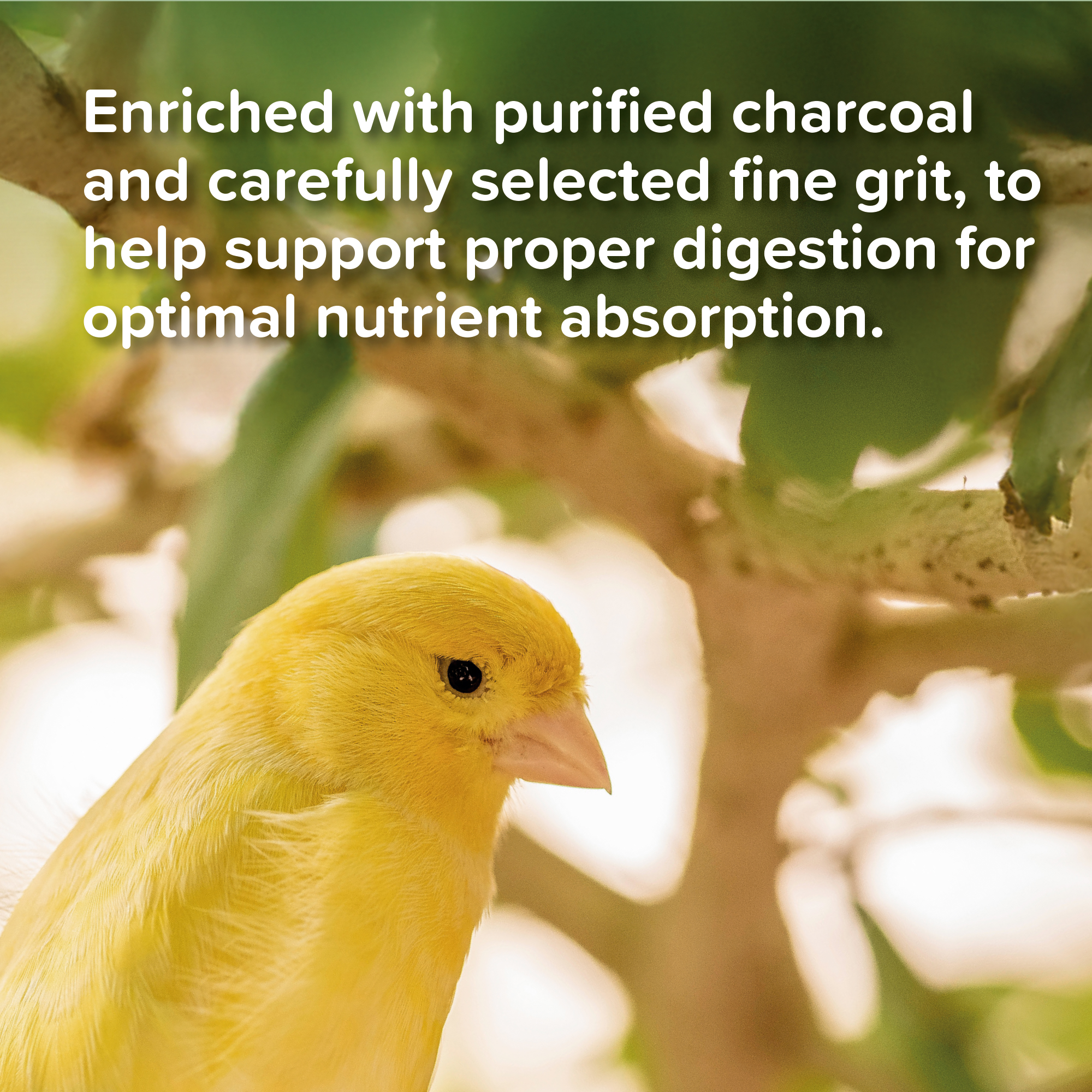 Beaphar Cana Grit Shell, Charcoal & Gravel for Birds