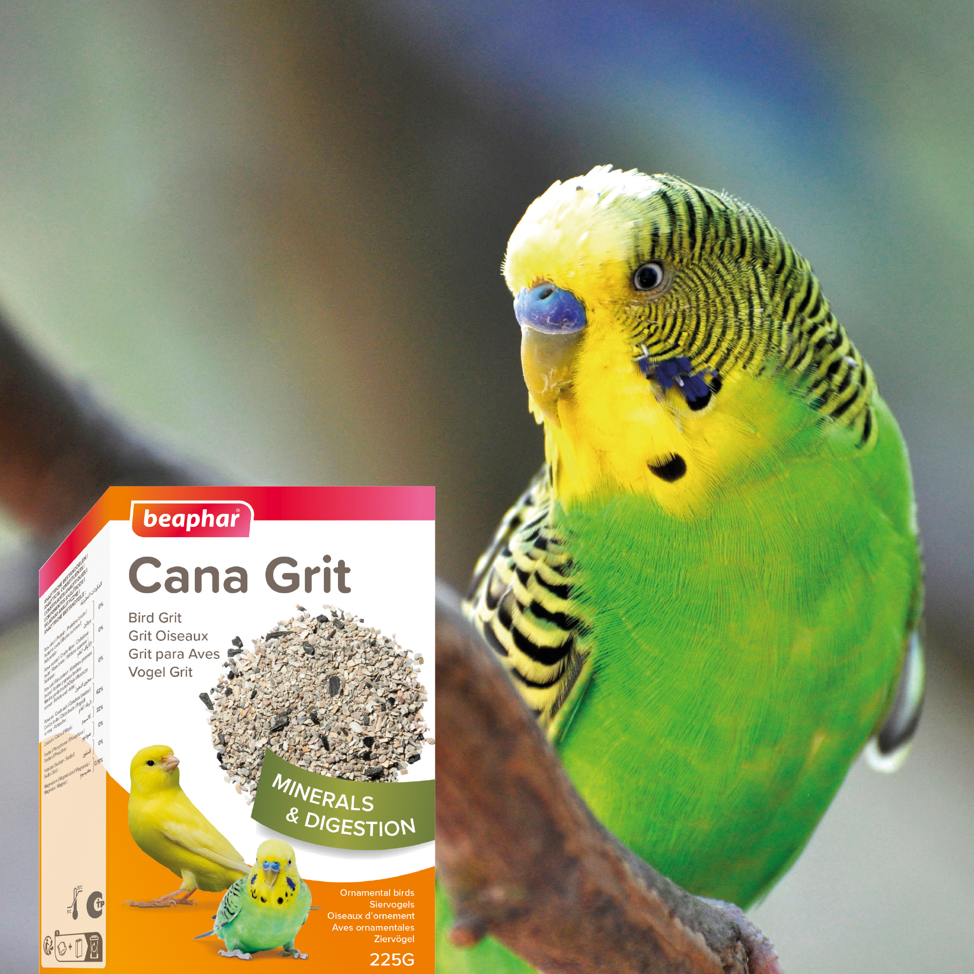 Beaphar Cana Grit Shell, Charcoal & Gravel for Birds