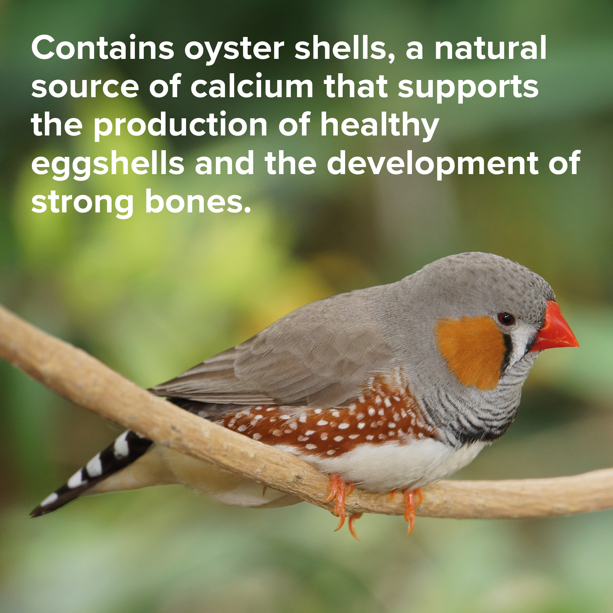 Beaphar Cana Grit Shell, Charcoal & Gravel for Birds, 225g