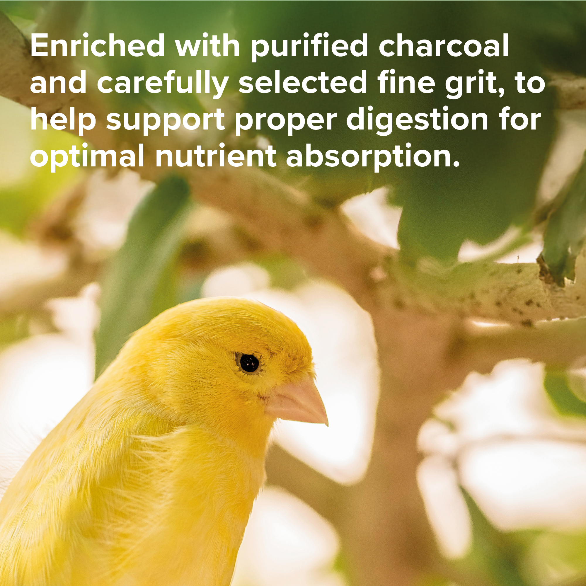 Beaphar Cana Grit Shell, Charcoal & Gravel for Birds, 225g