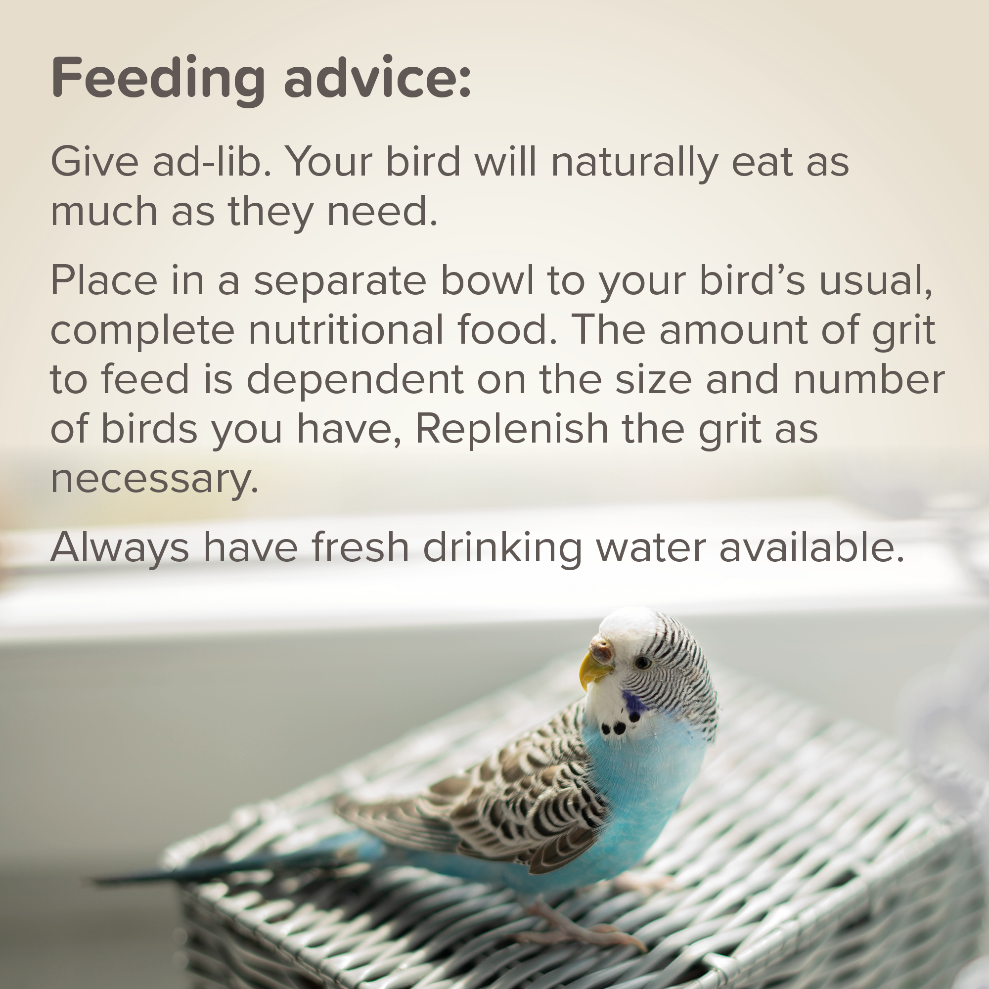 Beaphar Cana Grit Shell, Charcoal & Gravel for Birds, 225g