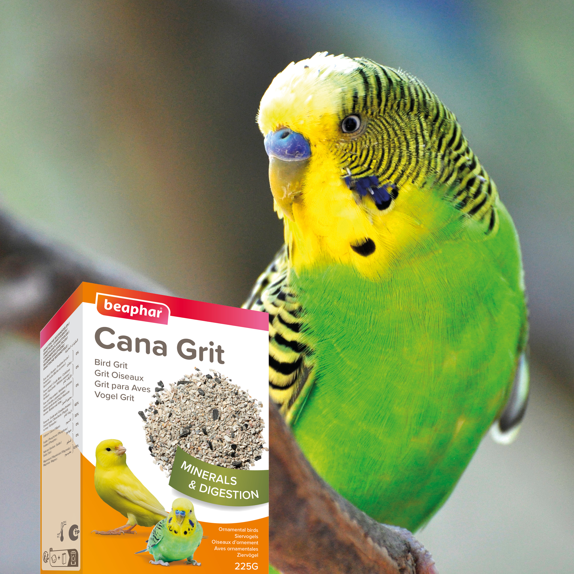 Beaphar Cana Grit Shell, Charcoal & Gravel for Birds, 225g