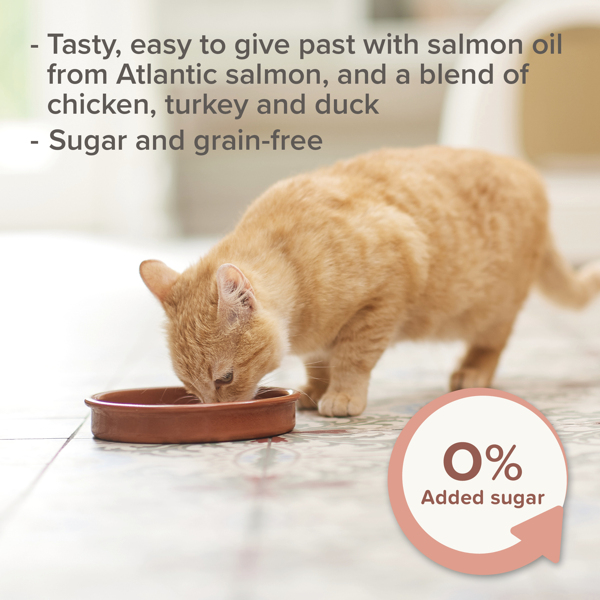 Beaphar Salmon Oil Paste for Cats, 100g