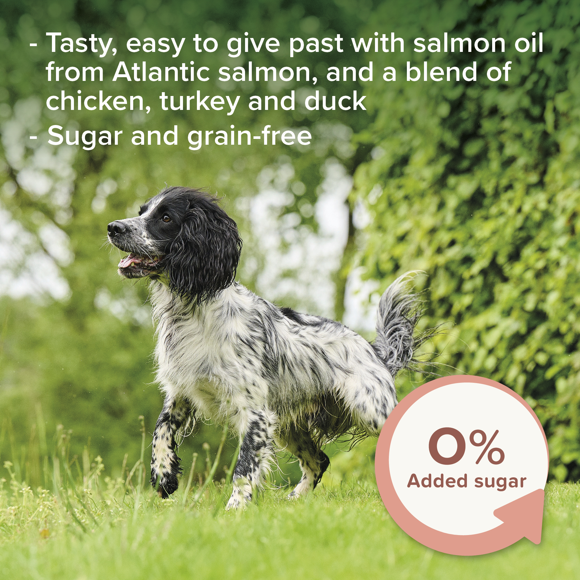 Beaphar Salmon Oil Paste for Dogs, 100g