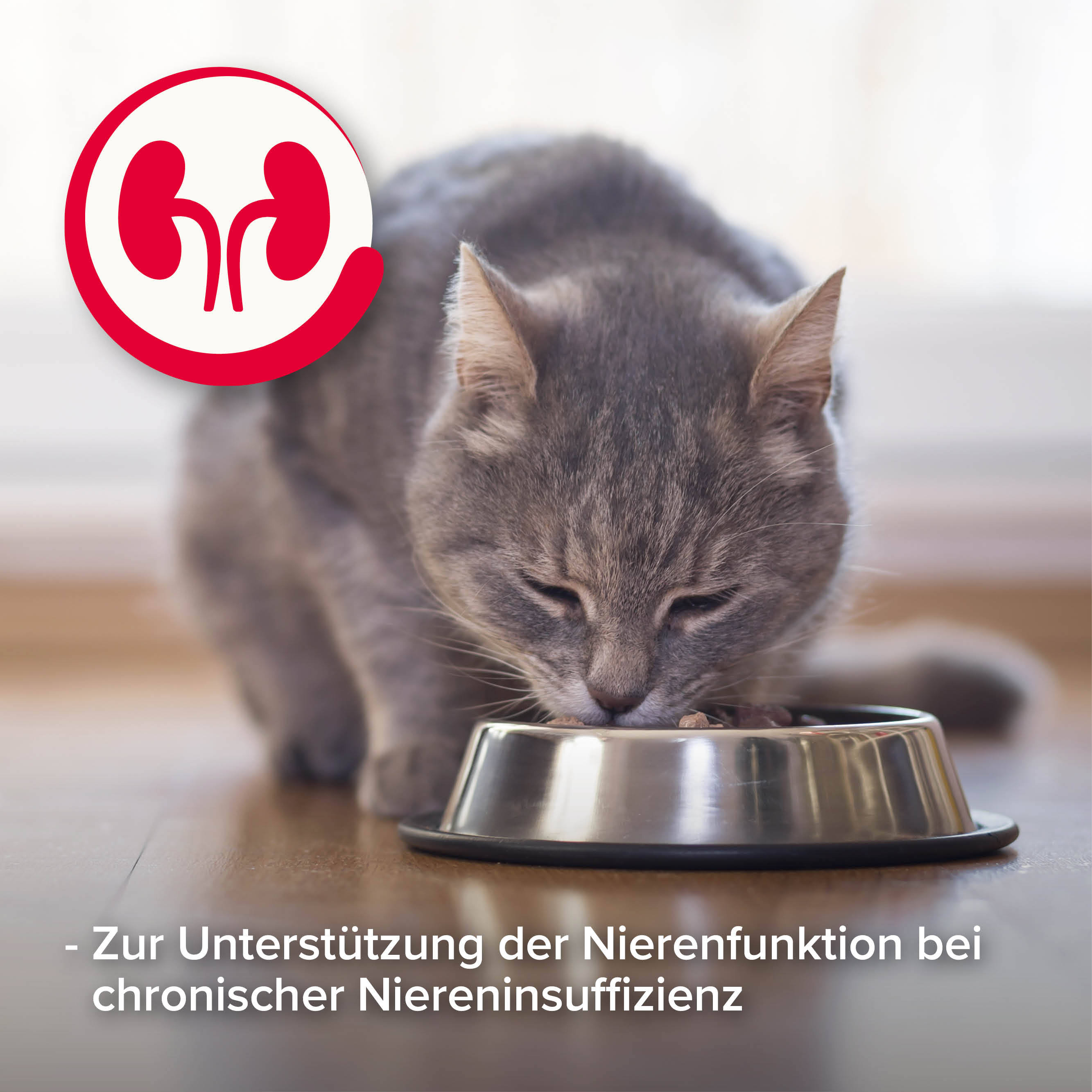 Nierendiät Mix Pack, 600g