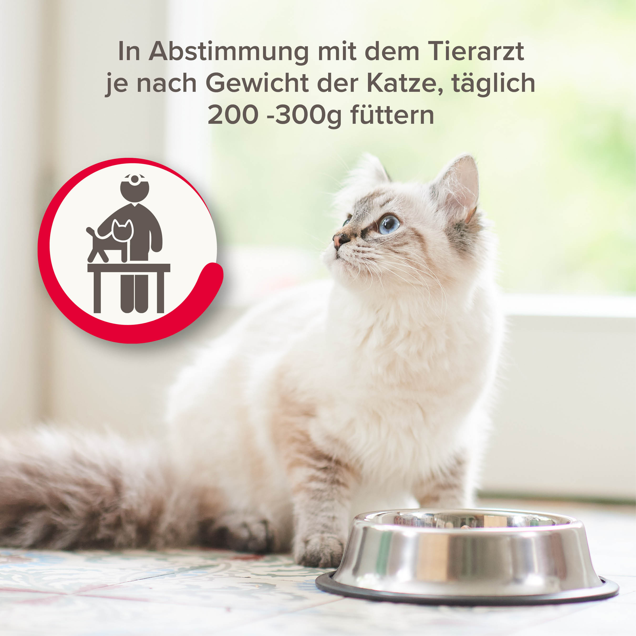 Nierendiät Mix Pack, 600g