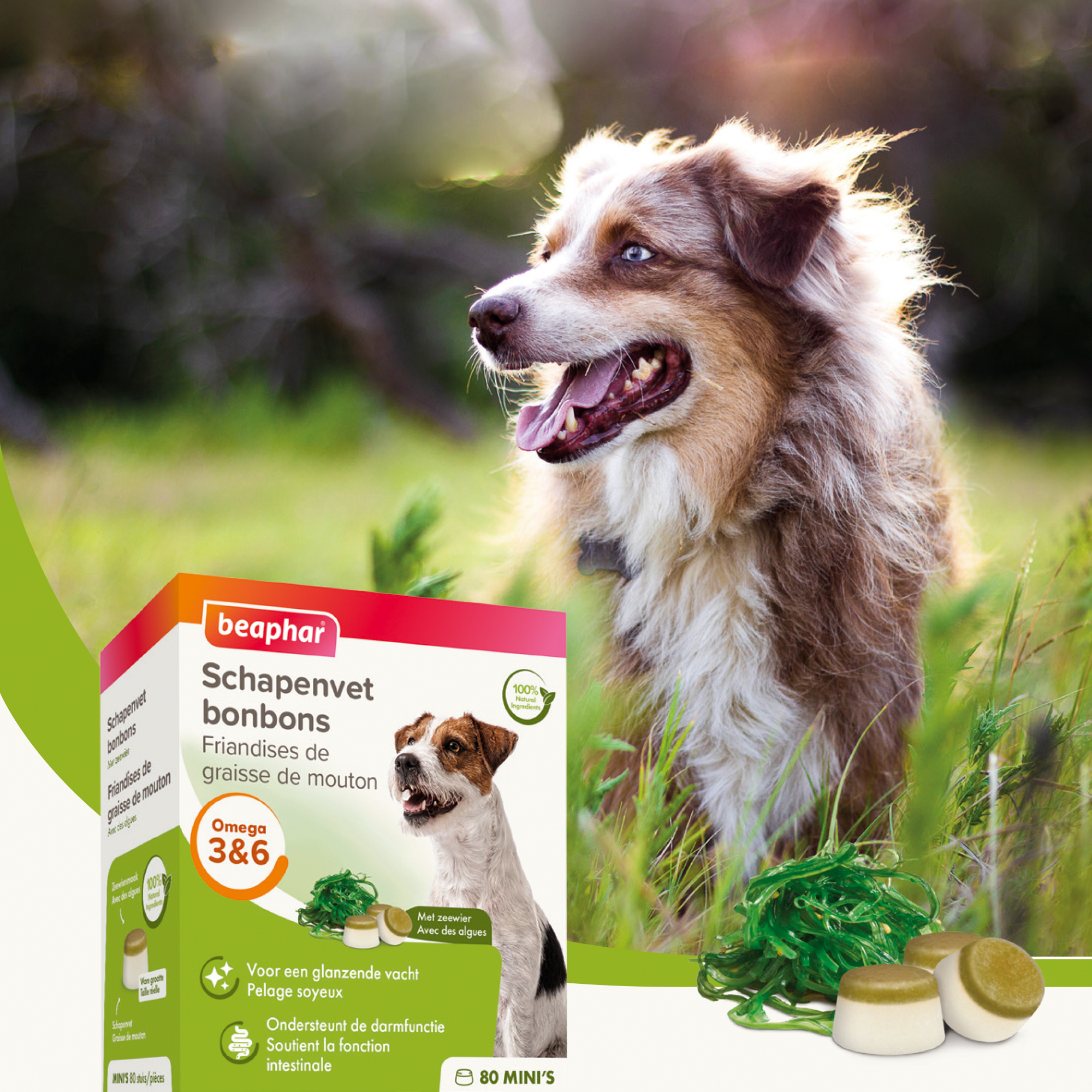 Beaphar Schapenvet Bonbons Zeewier Mini 245g