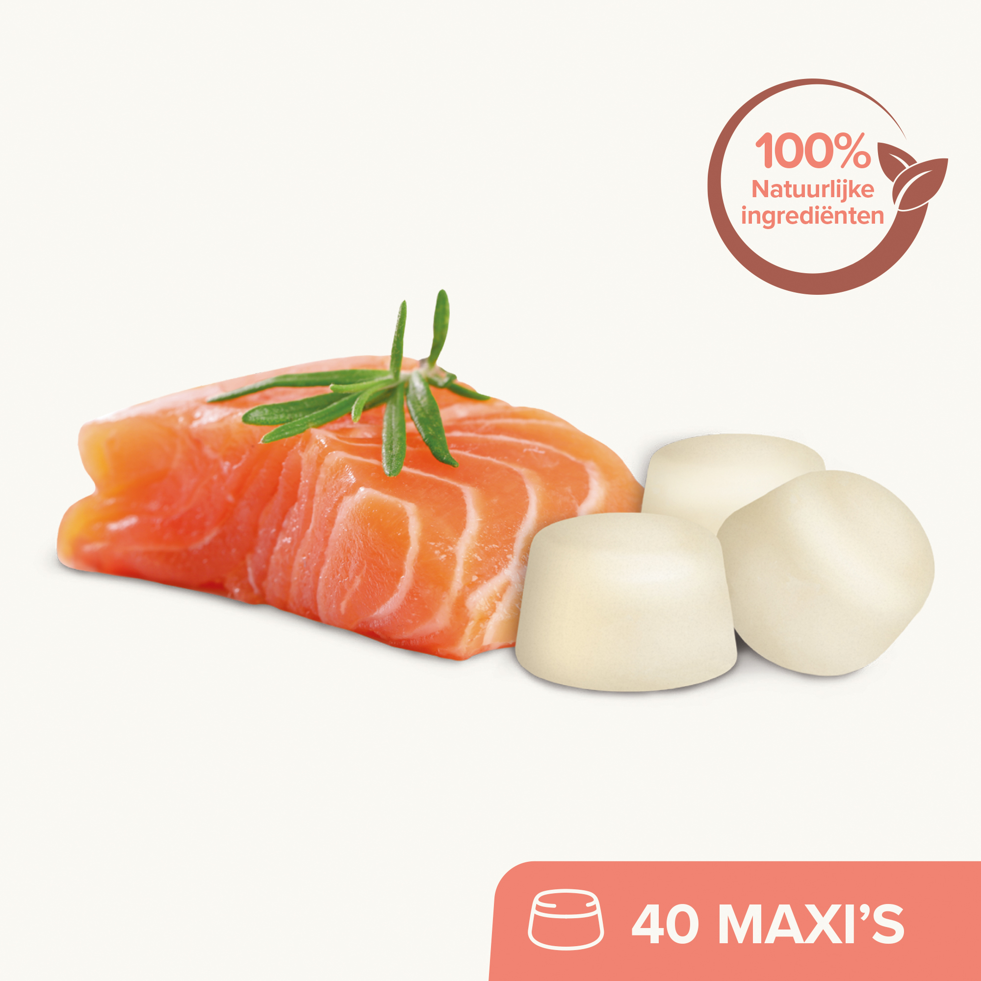 Beaphar Schapenvet Bonbons Zalm Maxi 245g