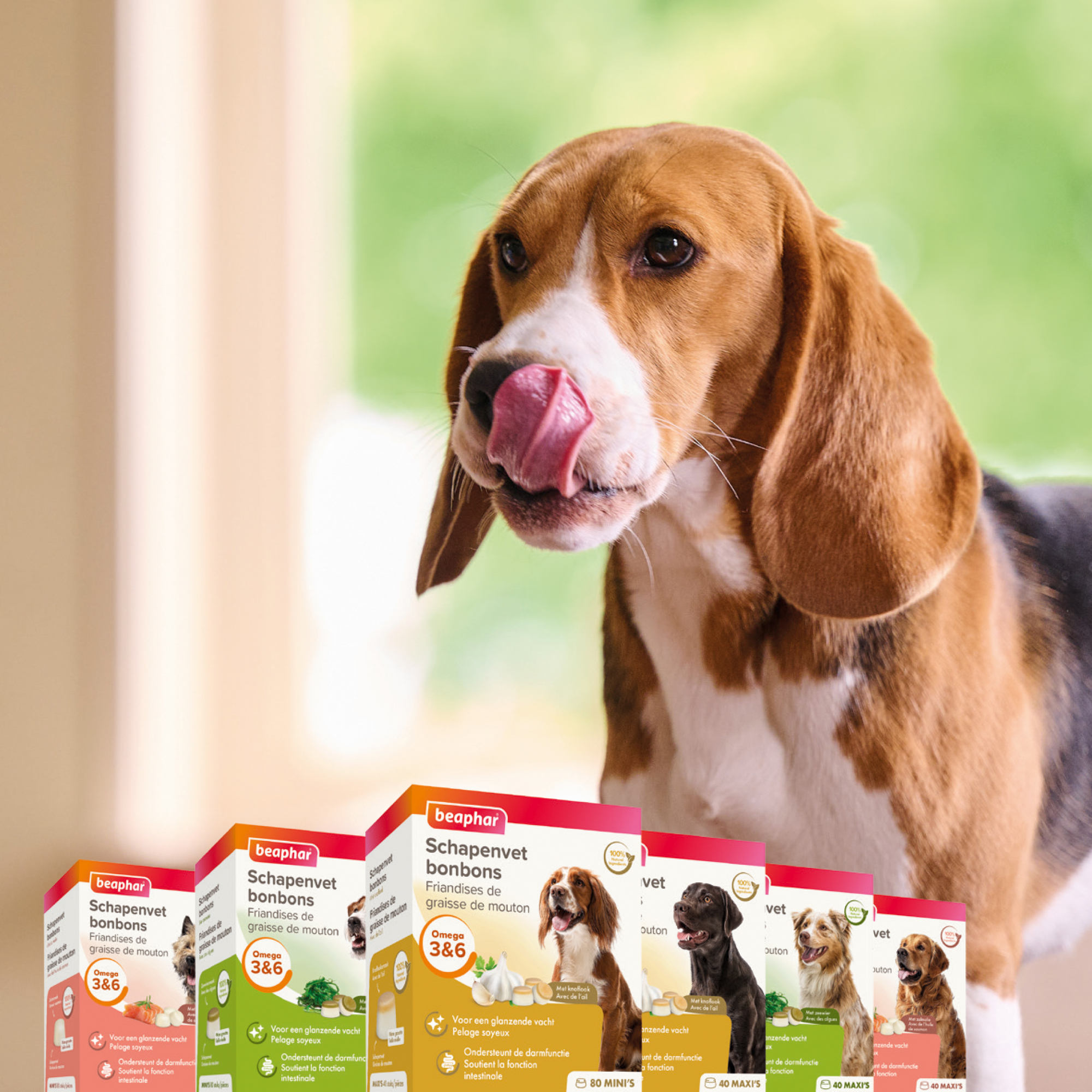 Beaphar Schapenvet Bonbons Zalm Maxi 245g