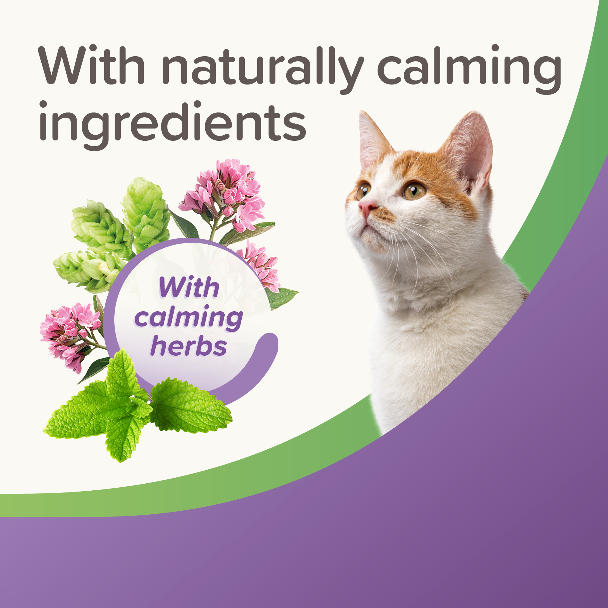 Beaphar StressLess Herbal Calming Cat Treats, 35g