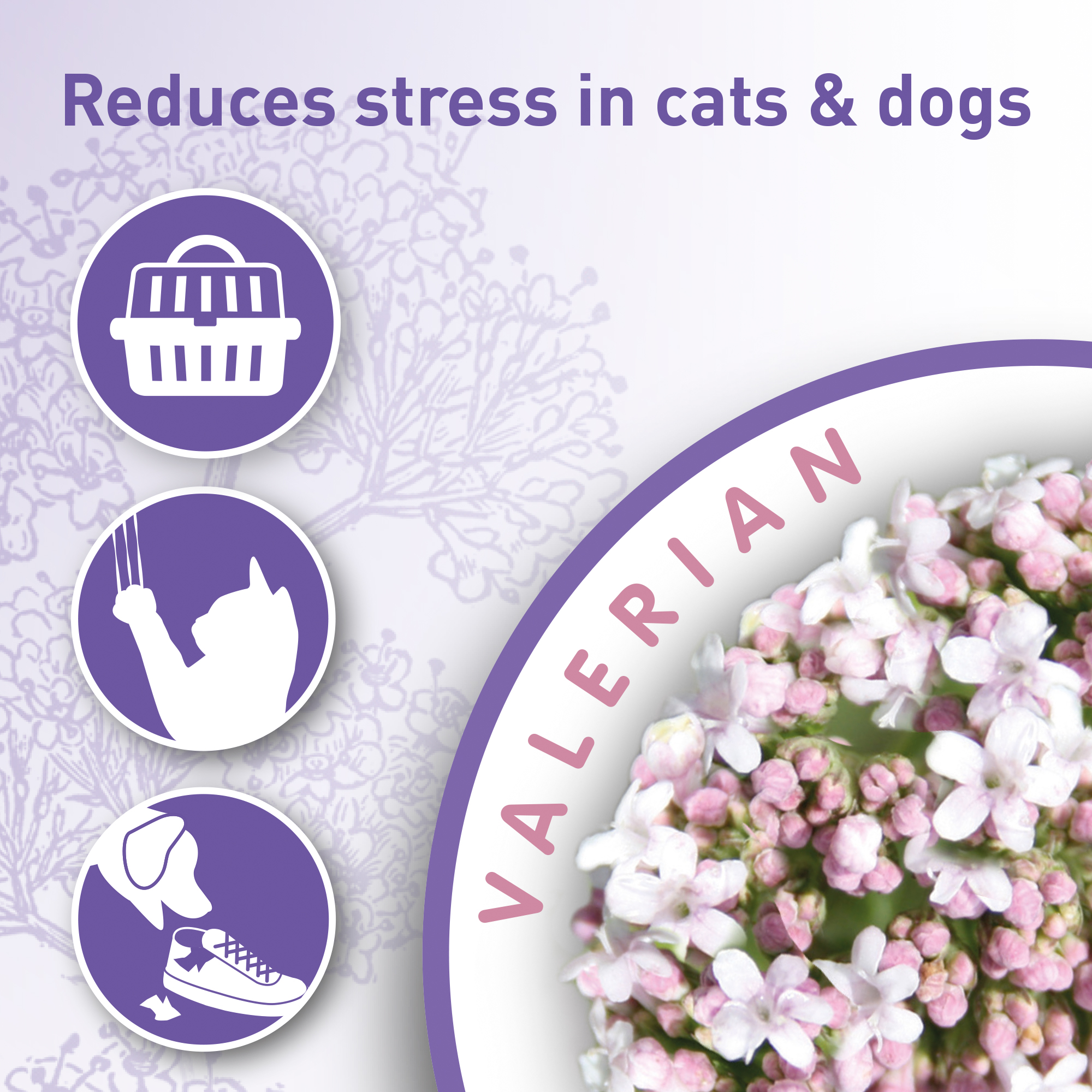 CALMING HOME SPRAY 125ML - łagodzi problemy behawioralne