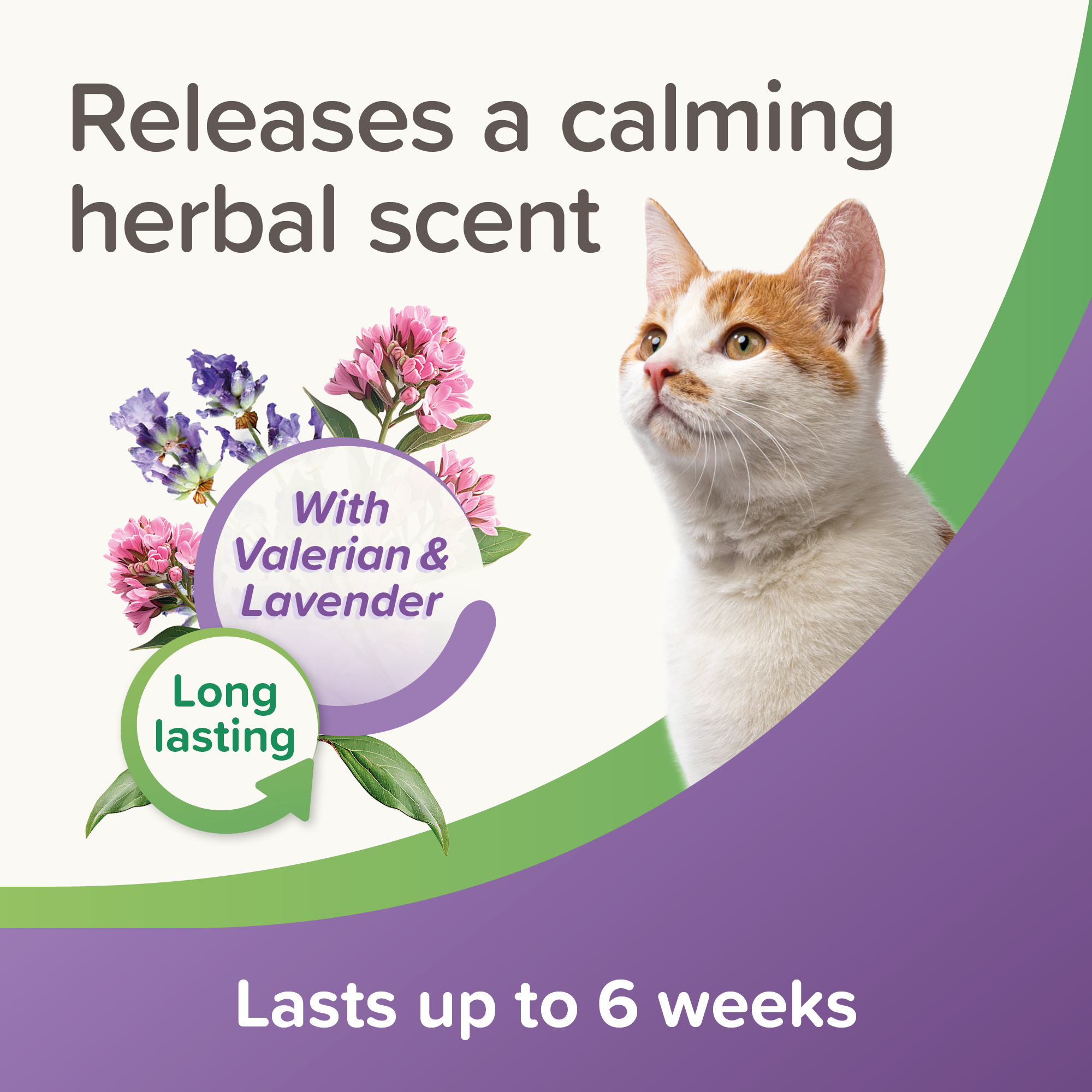 Beaphar StressLess Herbal Calming Collar for Cats, 35cm