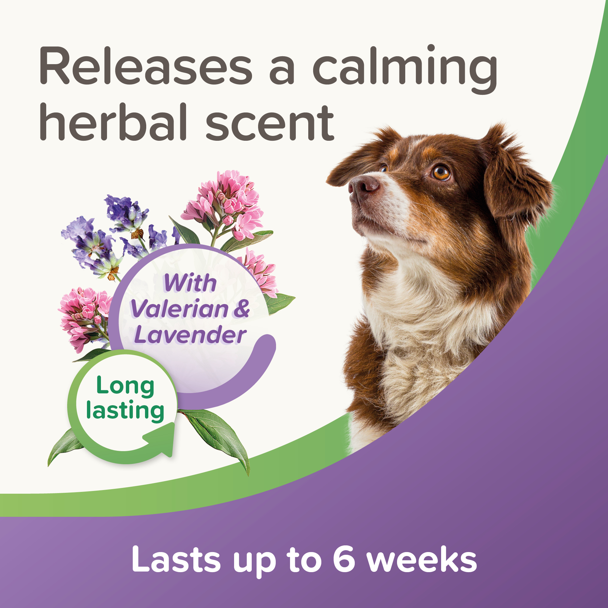 Beaphar StressLess Herbal Calming Collar for Dogs, 65cm