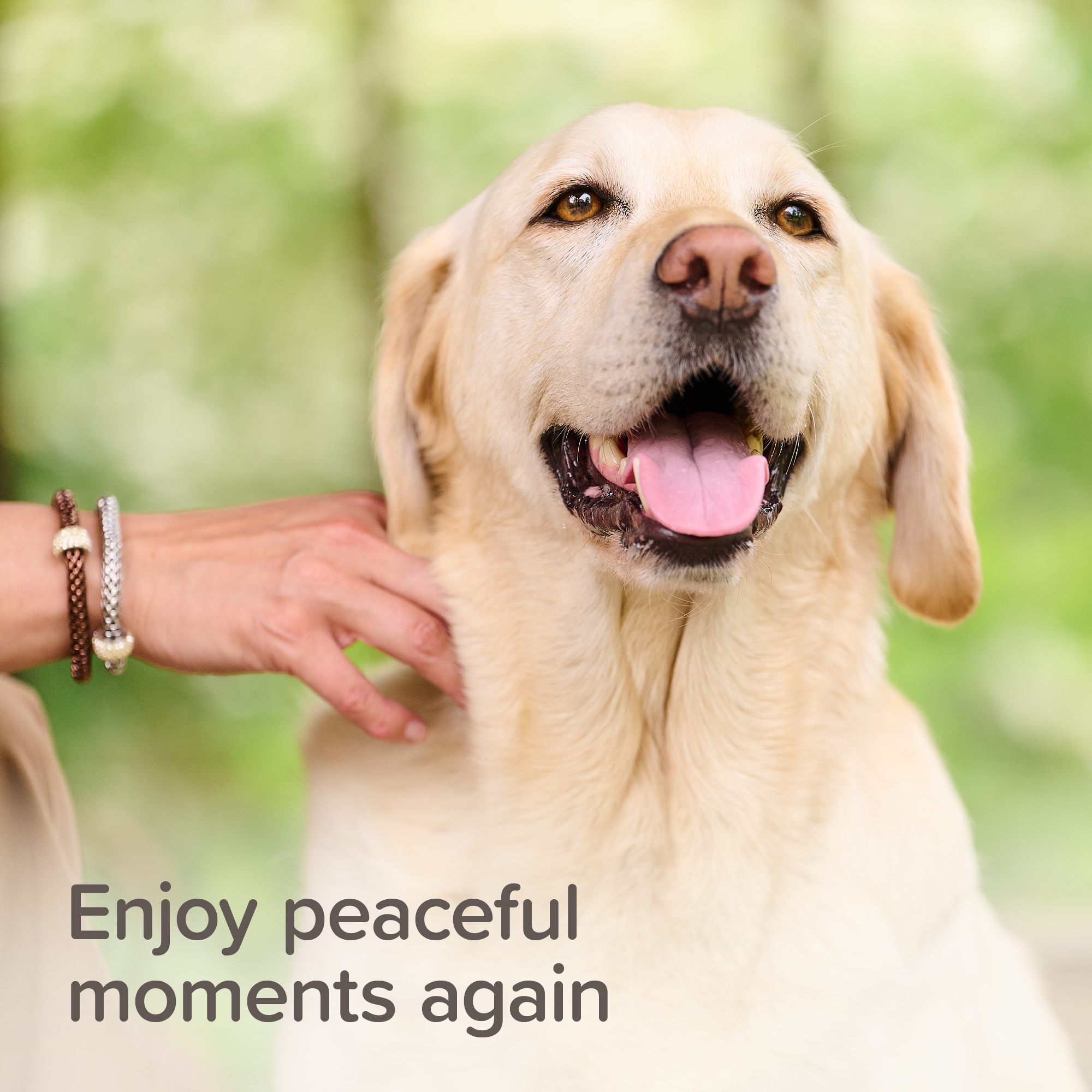 Beaphar StressLess Herbal Calming Collar for Dogs, 65cm
