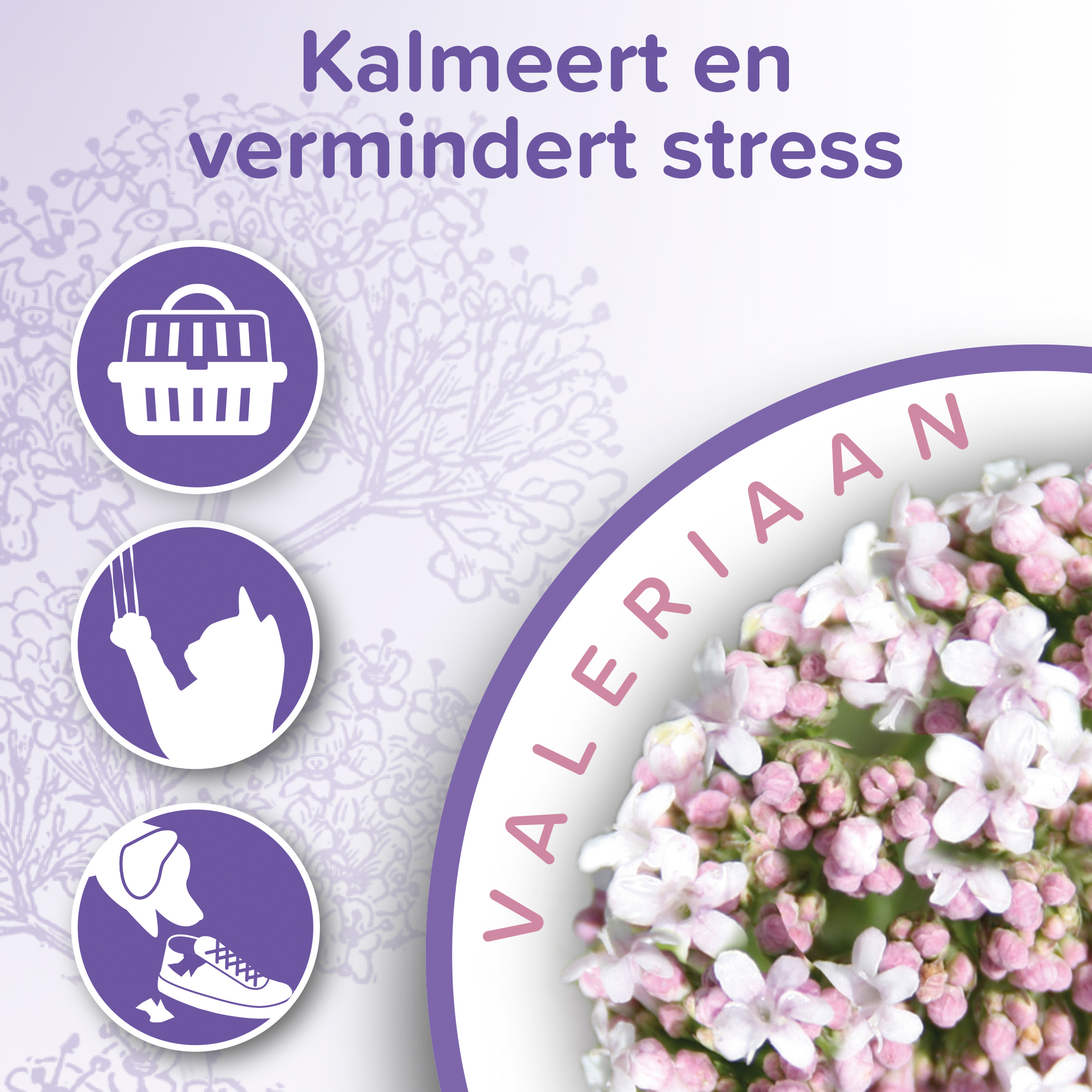 Beaphar No Stress Spray hond/kat 125ml