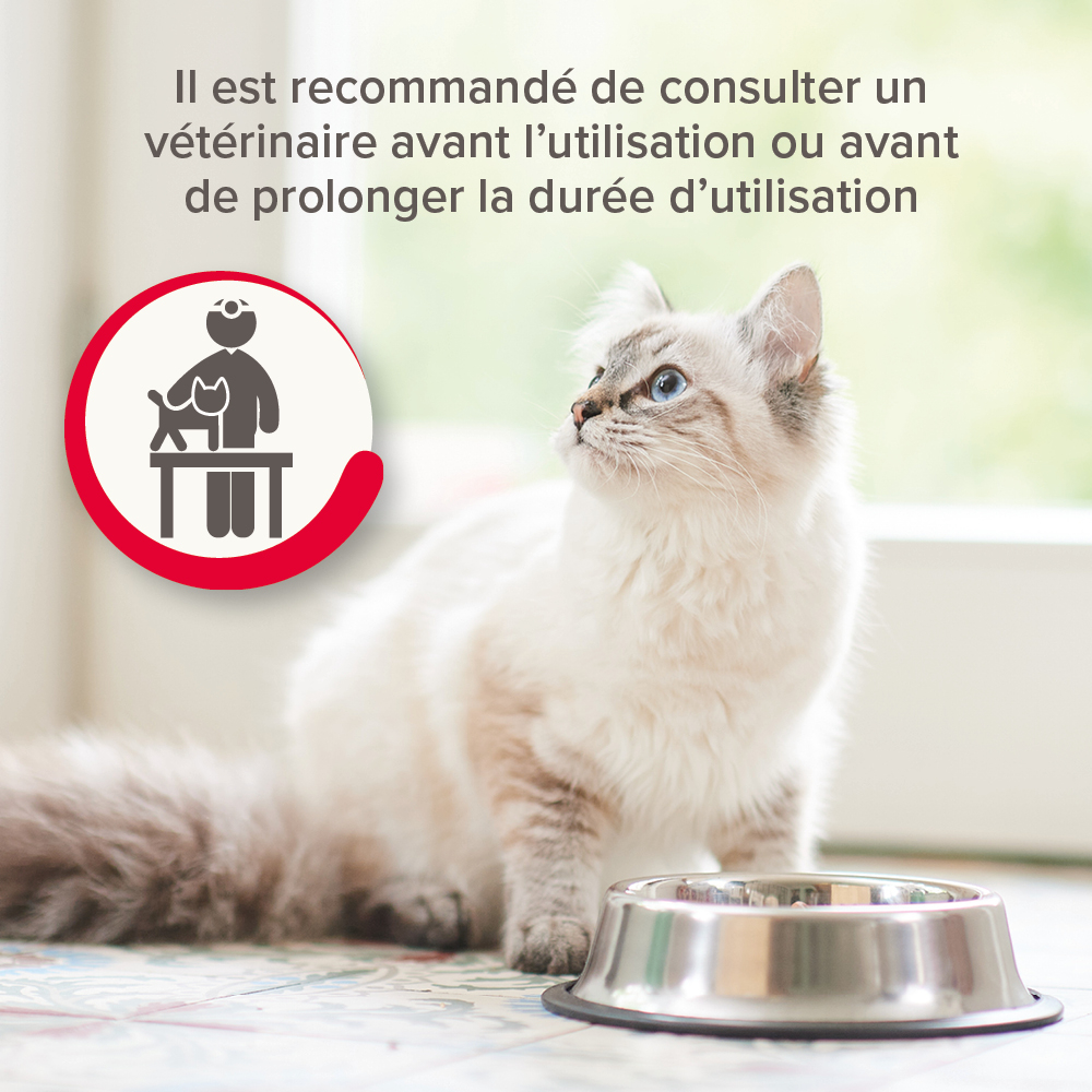 Multipack Pâtées Rénales pour chat - 6 x 100 g