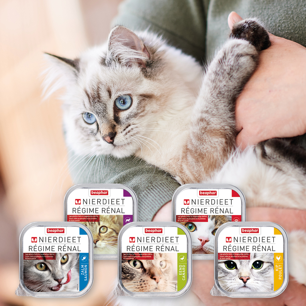 Multipack Pâtées Rénales pour chat - 6 x 100 g