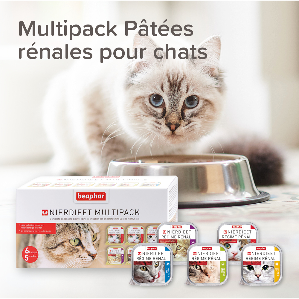 Multipack Pâtées Rénales pour chat - 6 x 100 g