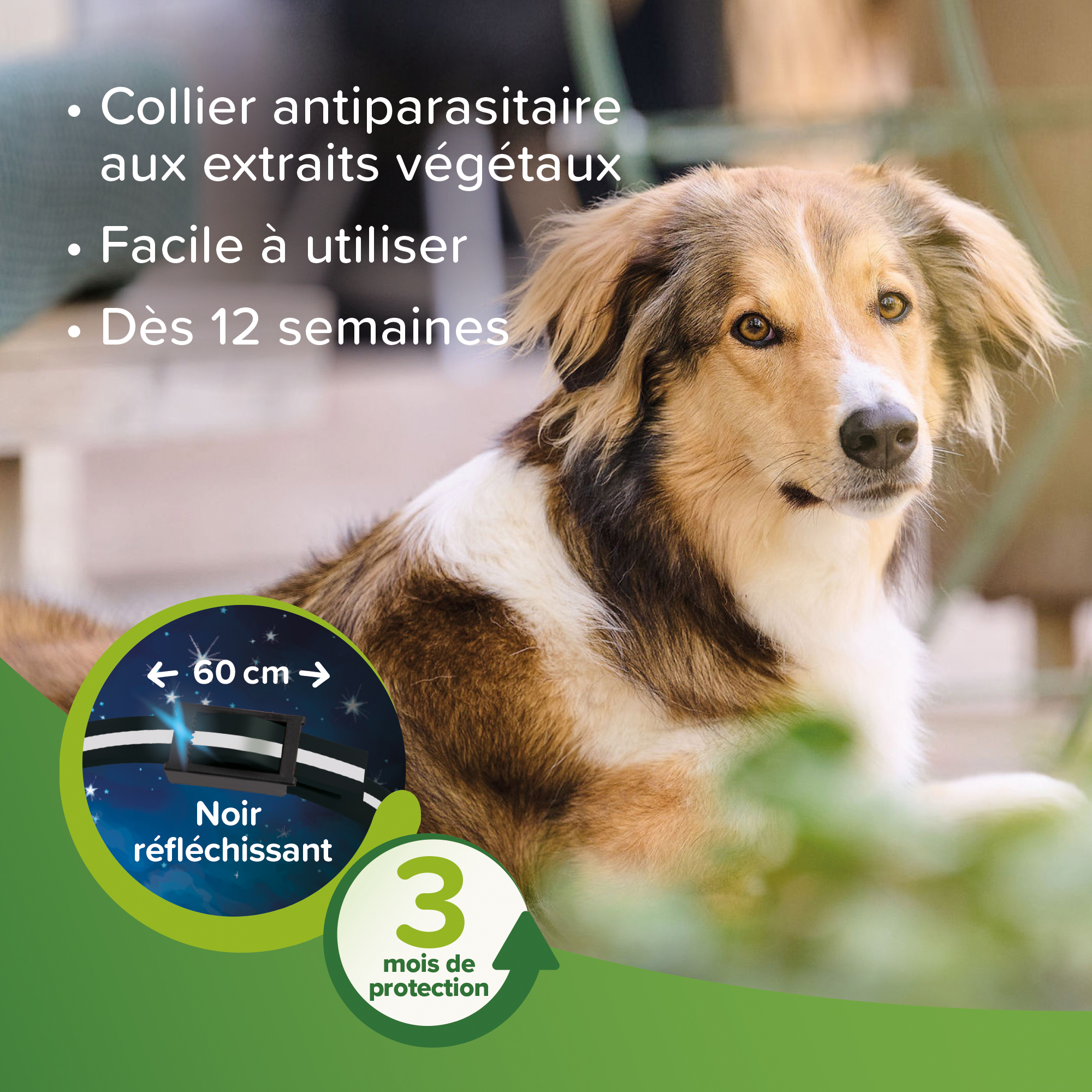 VETOpure, collier répulsif antiparasitaire réfléchissant pour chien