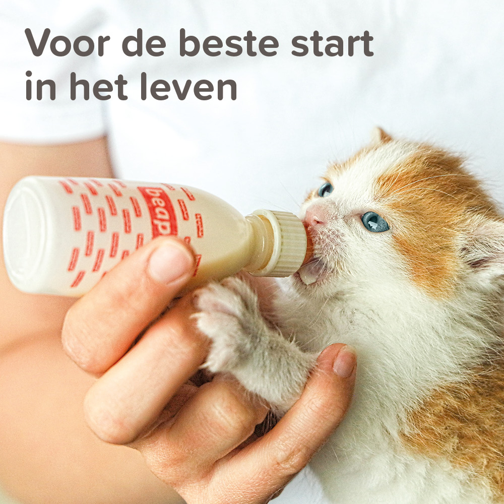 Beaphar Lactol Voedingsset (zuigflesje + speentjes)