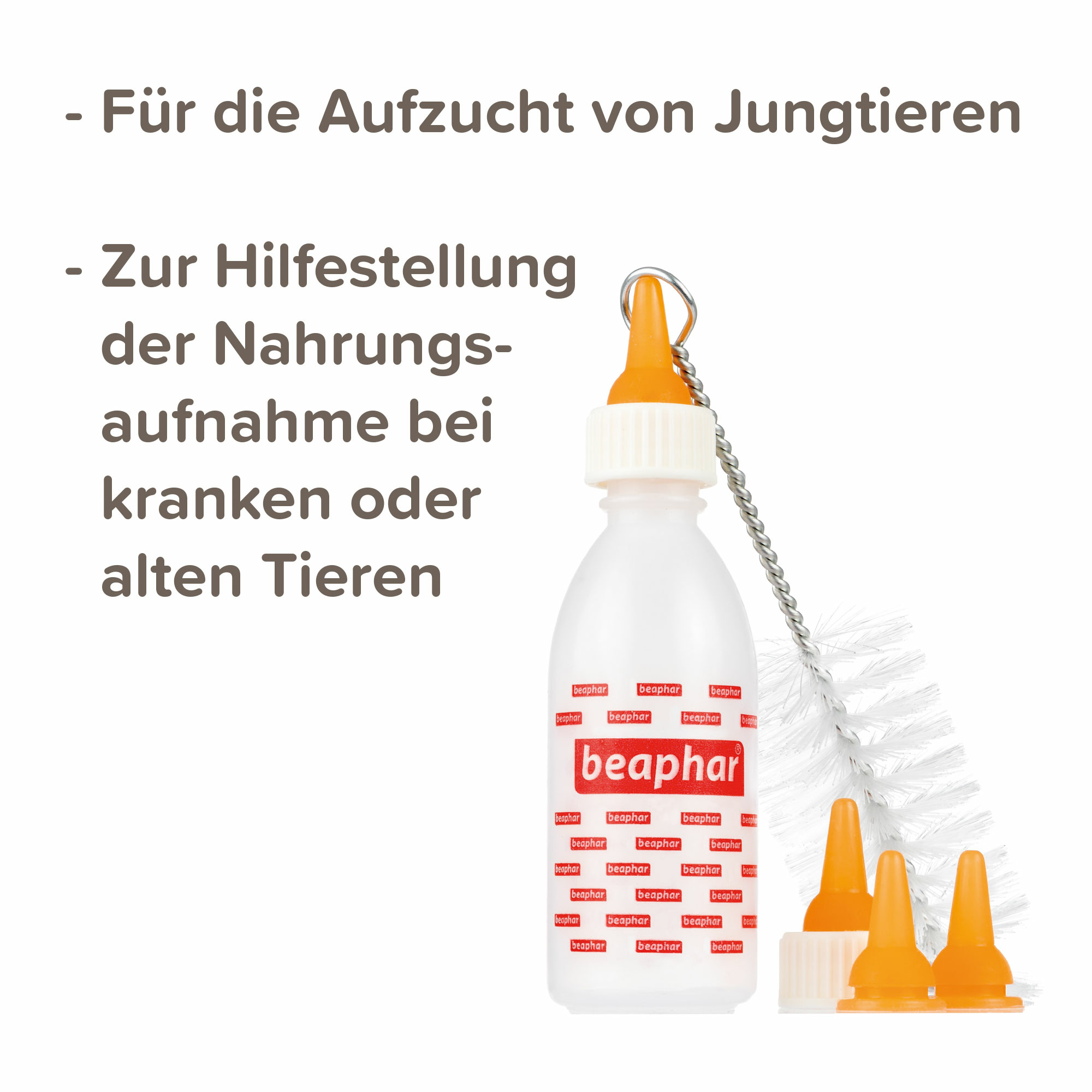 Lactol Aufzucht Set (Flasche, Bürste & Sauger)