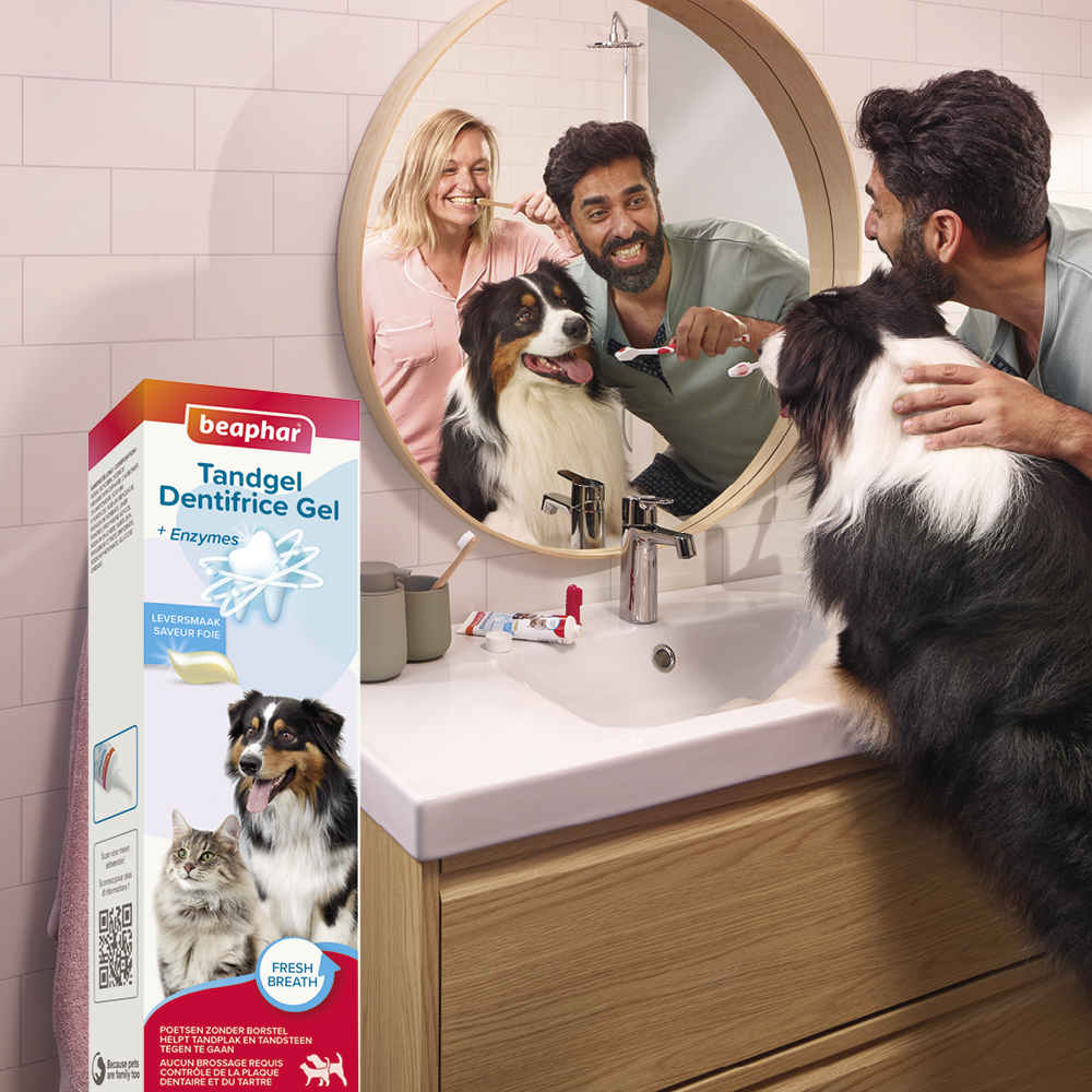 Beaphar Tandgel 100g