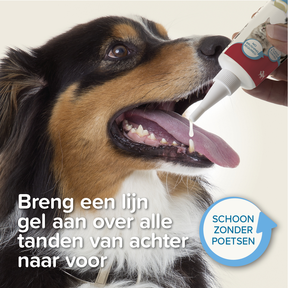 Beaphar Tandgel 100g